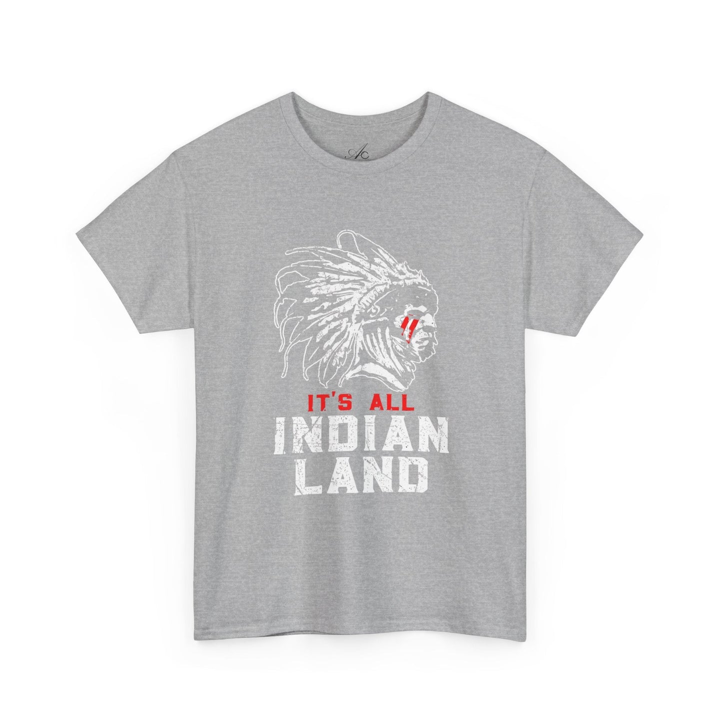 Say It Without Saying It Indigenous Pride Tee, Unisex Heavy Cotton Top, Statement Shirt, Native American Heritage, Gift for Activists, Cultural Appreciation Shirt - Metamorphosis Creations