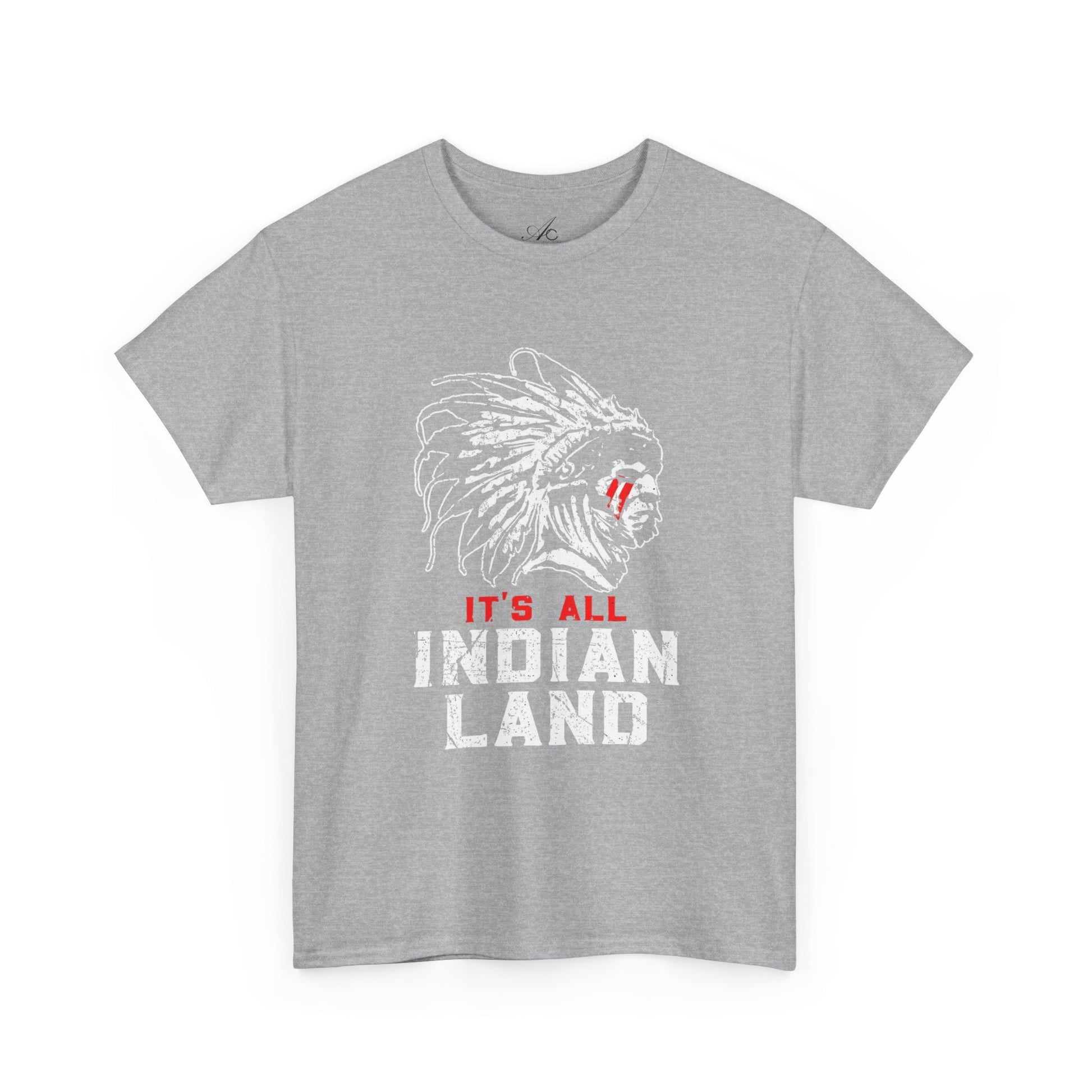 Say It Without Saying It Indigenous Pride Tee, Unisex Heavy Cotton Top, Statement Shirt, Native American Heritage, Gift for Activists, Cultural Appreciation Shirt - Metamorphosis Creations