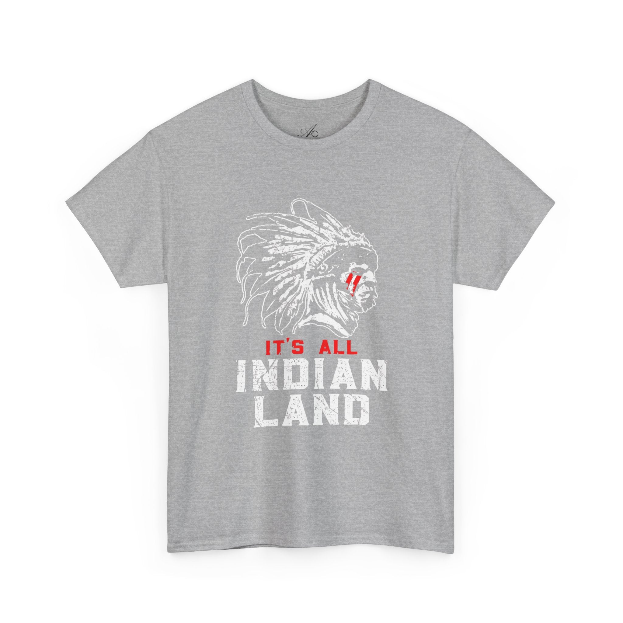 Say It Without Saying It Indigenous Pride Tee, Unisex Heavy Cotton Top, Statement Shirt, Native American Heritage, Gift for Activists, Cultural Appreciation Shirt - Metamorphosis Creations