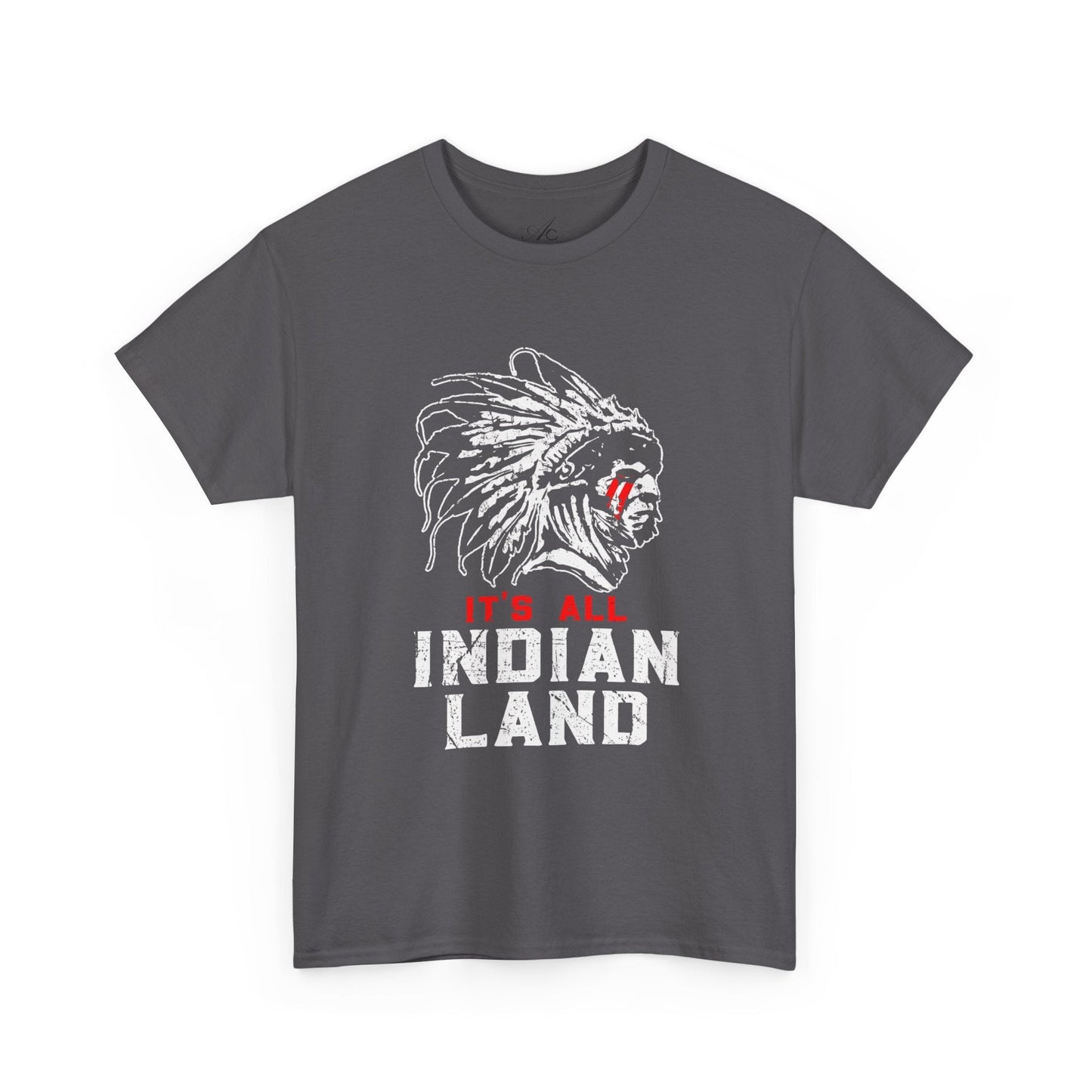 Say It Without Saying It Indigenous Pride Tee, Unisex Heavy Cotton Top, Statement Shirt, Native American Heritage, Gift for Activists, Cultural Appreciation Shirt - Metamorphosis Creations