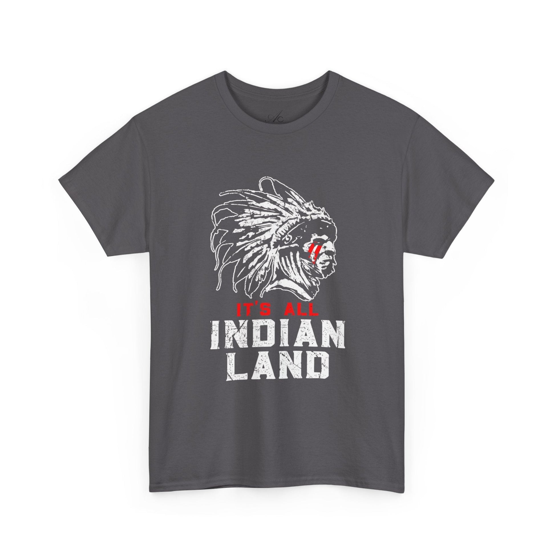 Say It Without Saying It Indigenous Pride Tee, Unisex Heavy Cotton Top, Statement Shirt, Native American Heritage, Gift for Activists, Cultural Appreciation Shirt - Metamorphosis Creations
