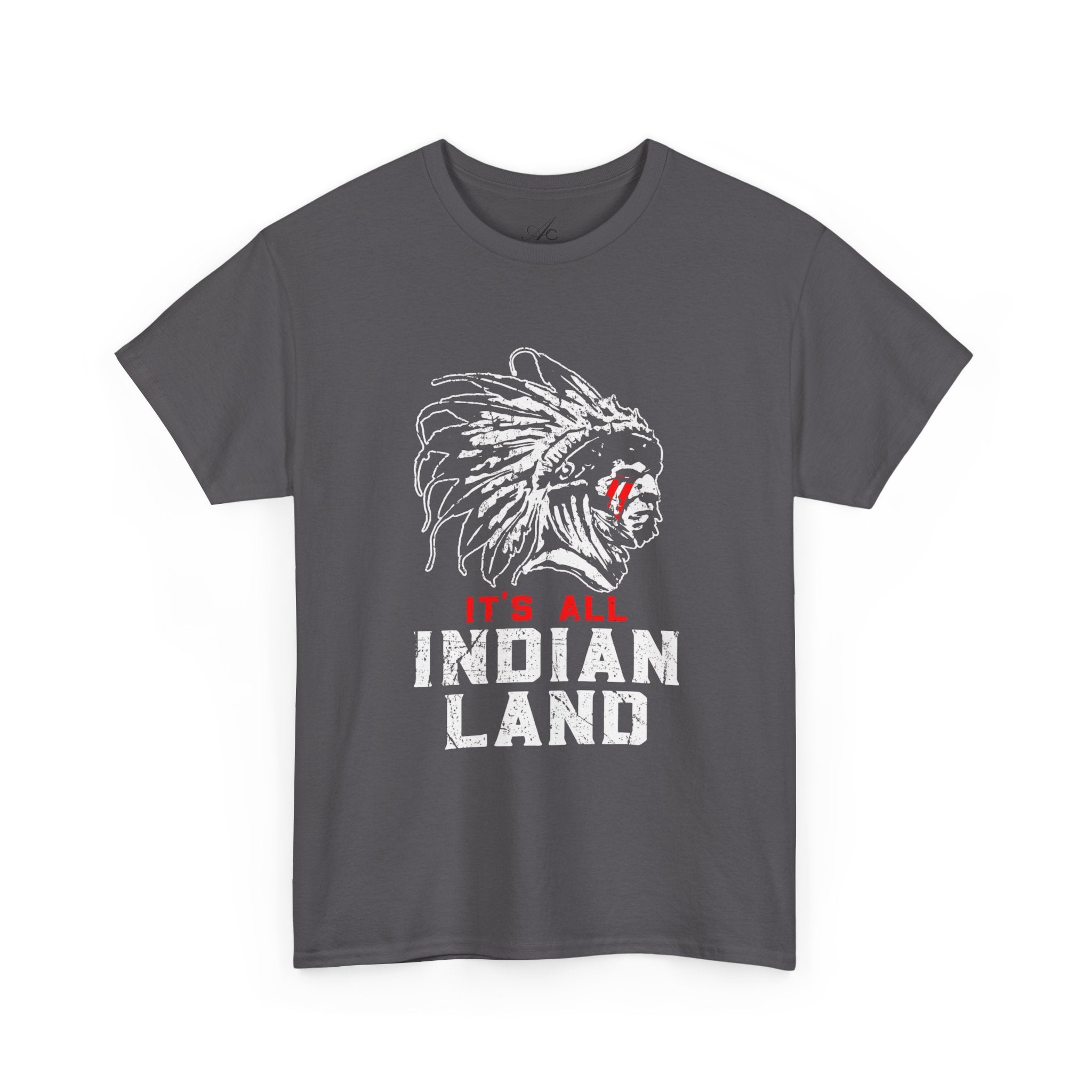 Say It Without Saying It Indigenous Pride Tee, Unisex Heavy Cotton Top, Statement Shirt, Native American Heritage, Gift for Activists, Cultural Appreciation Shirt - Metamorphosis Creations