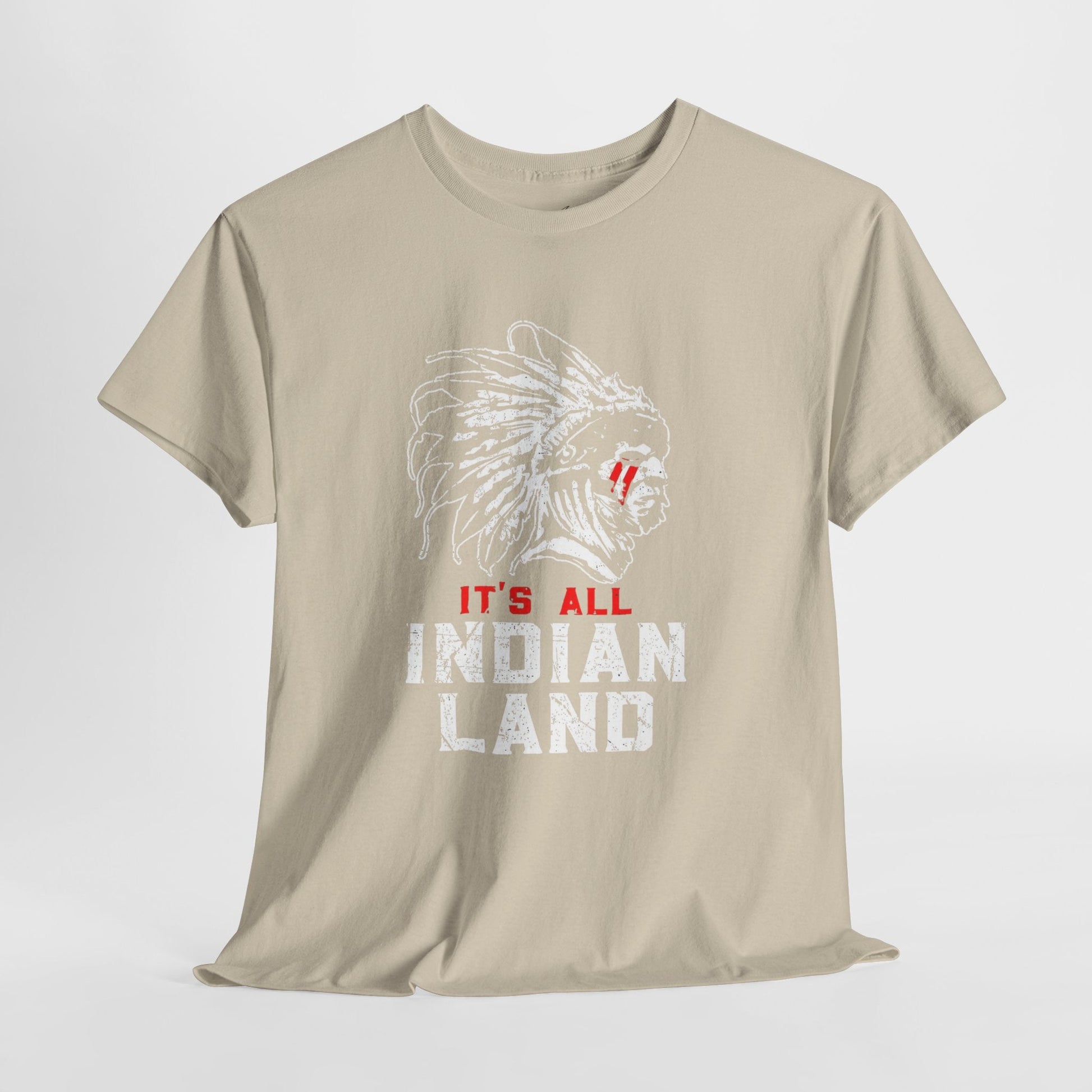 Say It Without Saying It Indigenous Pride Tee, Unisex Heavy Cotton Top, Statement Shirt, Native American Heritage, Gift for Activists, Cultural Appreciation Shirt - Metamorphosis Creations