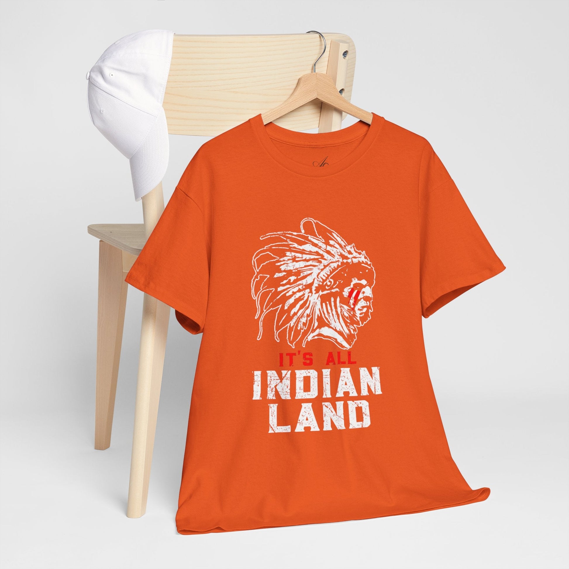 Say It Without Saying It Indigenous Pride Tee, Unisex Heavy Cotton Top, Statement Shirt, Native American Heritage, Gift for Activists, Cultural Appreciation Shirt - Metamorphosis Creations