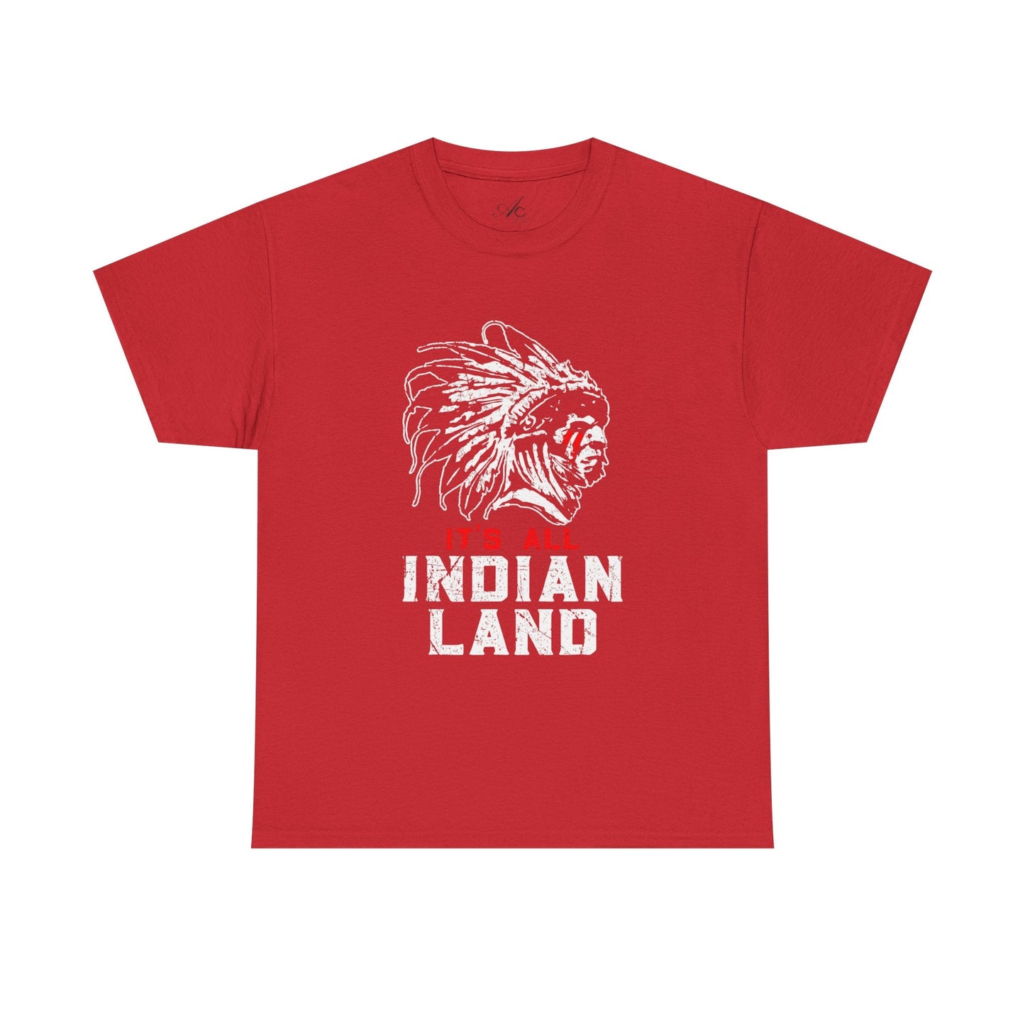 Say It Without Saying It Indigenous Pride Tee, Unisex Heavy Cotton Top, Statement Shirt, Native American Heritage, Gift for Activists, Cultural Appreciation Shirt - Metamorphosis Creations