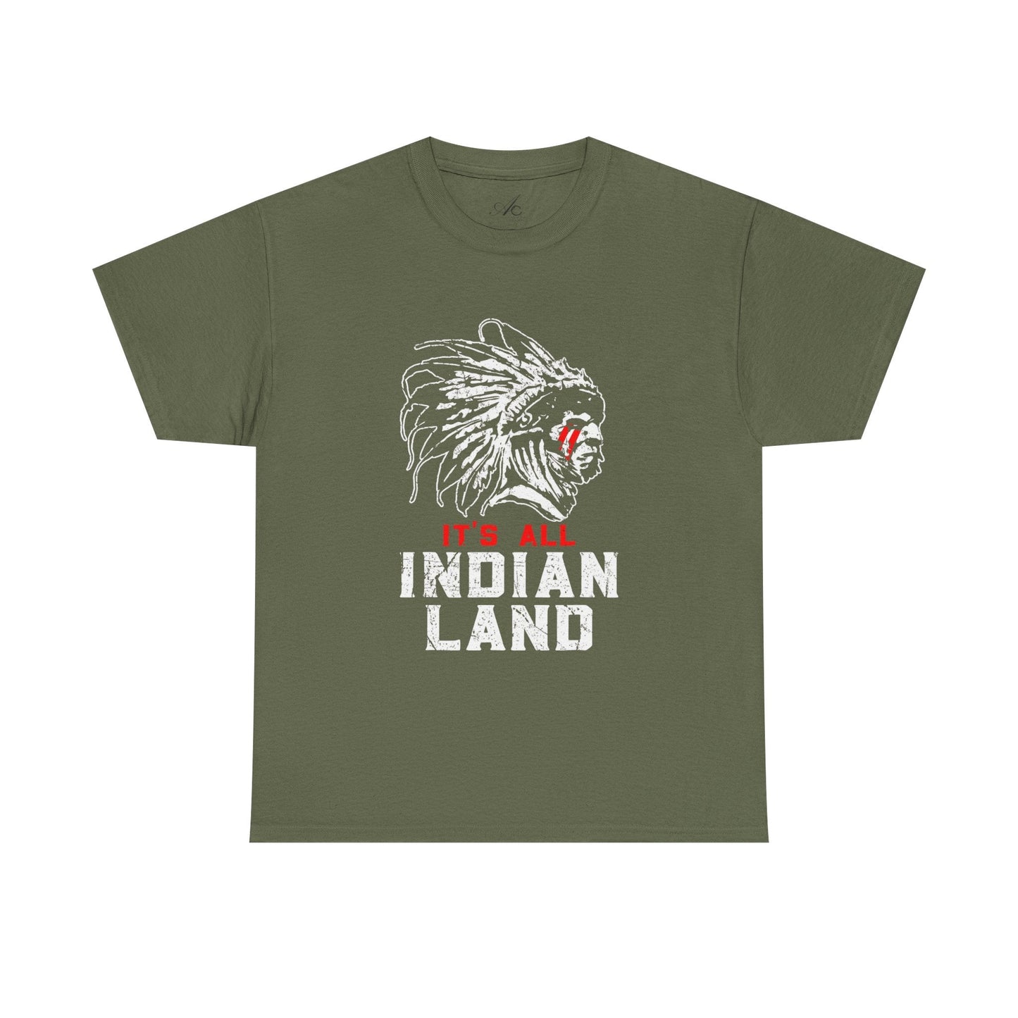 Say It Without Saying It Indigenous Pride Tee, Unisex Heavy Cotton Top, Statement Shirt, Native American Heritage, Gift for Activists, Cultural Appreciation Shirt - Metamorphosis Creations