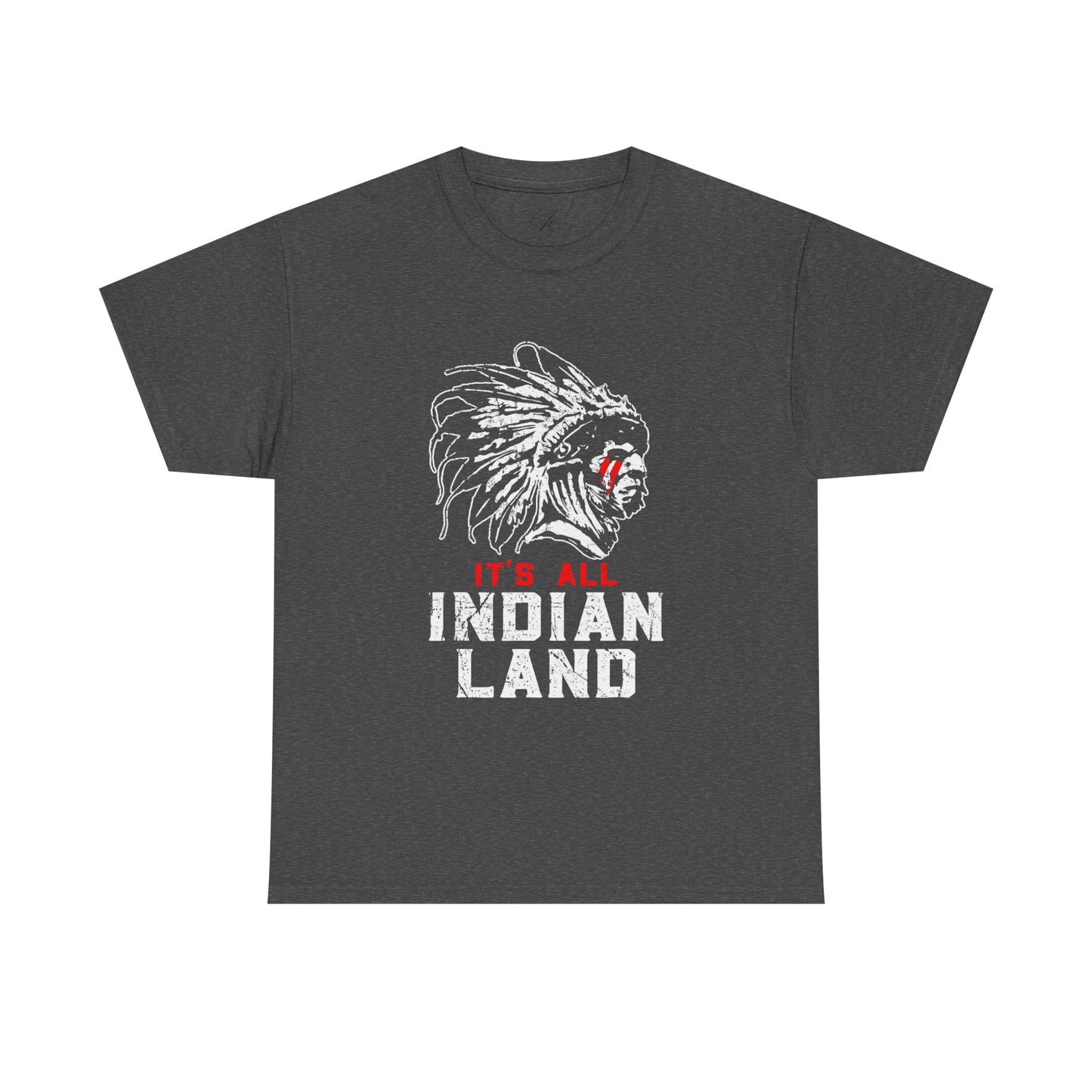 Say It Without Saying It Indigenous Pride Tee, Unisex Heavy Cotton Top, Statement Shirt, Native American Heritage, Gift for Activists, Cultural Appreciation Shirt - Metamorphosis Creations