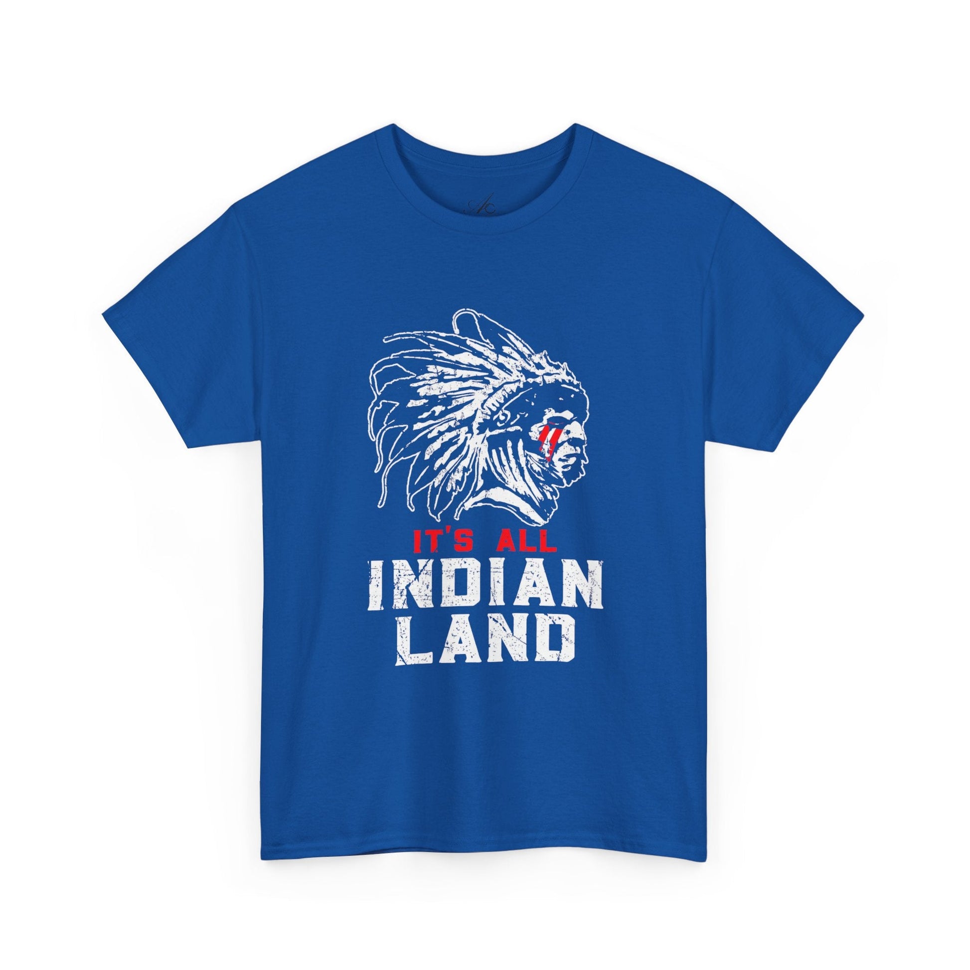 Say It Without Saying It Indigenous Pride Tee, Unisex Heavy Cotton Top, Statement Shirt, Native American Heritage, Gift for Activists, Cultural Appreciation Shirt - Metamorphosis Creations