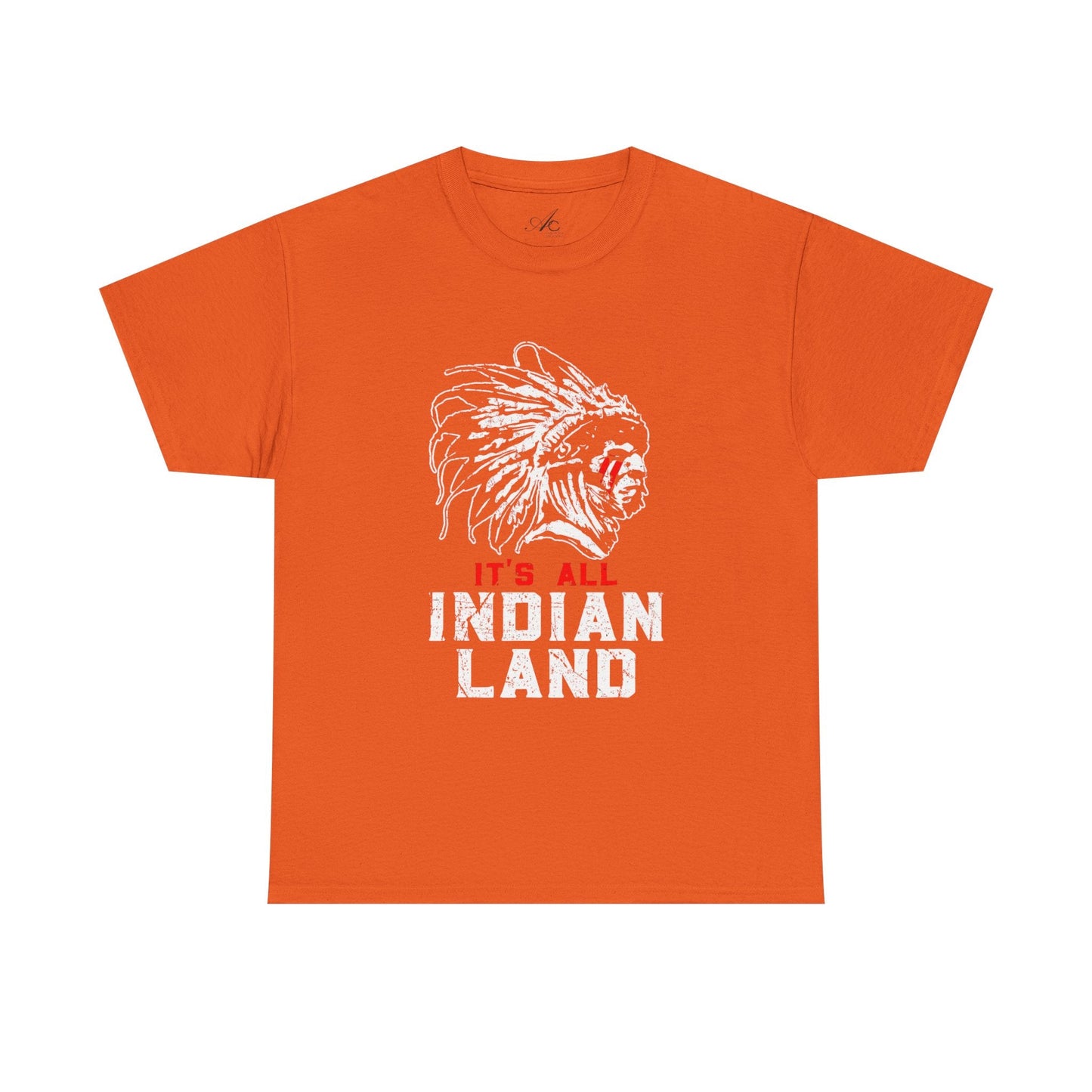 Say It Without Saying It Indigenous Pride Tee, Unisex Heavy Cotton Top, Statement Shirt, Native American Heritage, Gift for Activists, Cultural Appreciation Shirt - Metamorphosis Creations