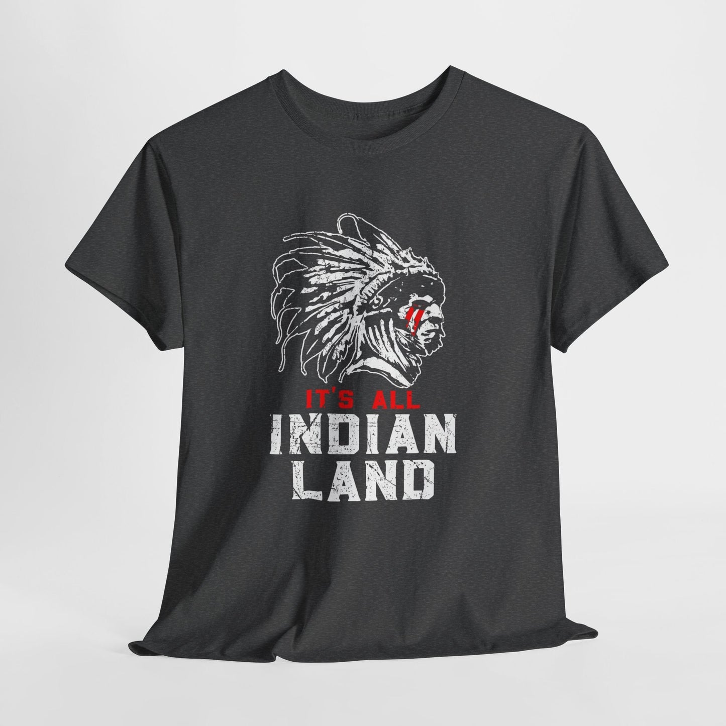 Say It Without Saying It Indigenous Pride Tee, Unisex Heavy Cotton Top, Statement Shirt, Native American Heritage, Gift for Activists, Cultural Appreciation Shirt - Metamorphosis Creations