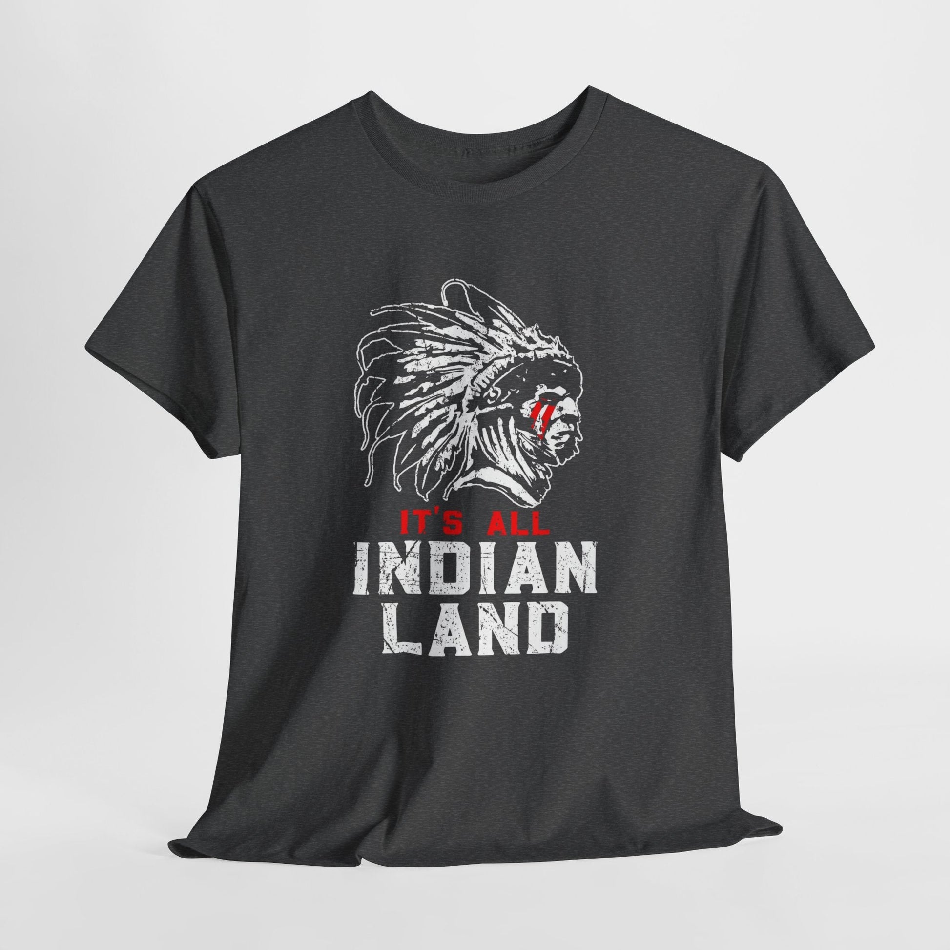 Say It Without Saying It Indigenous Pride Tee, Unisex Heavy Cotton Top, Statement Shirt, Native American Heritage, Gift for Activists, Cultural Appreciation Shirt - Metamorphosis Creations