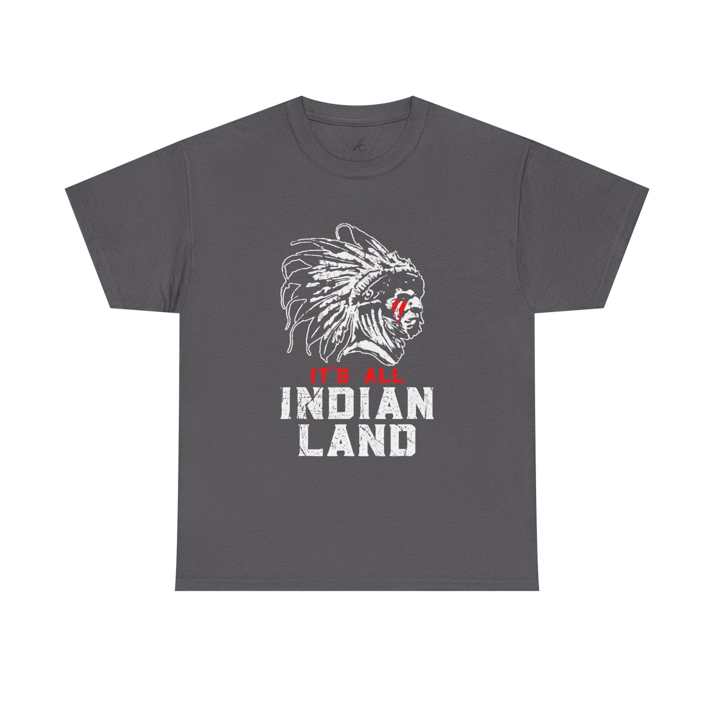 Say It Without Saying It Indigenous Pride Tee, Unisex Heavy Cotton Top, Statement Shirt, Native American Heritage, Gift for Activists, Cultural Appreciation Shirt - Metamorphosis Creations
