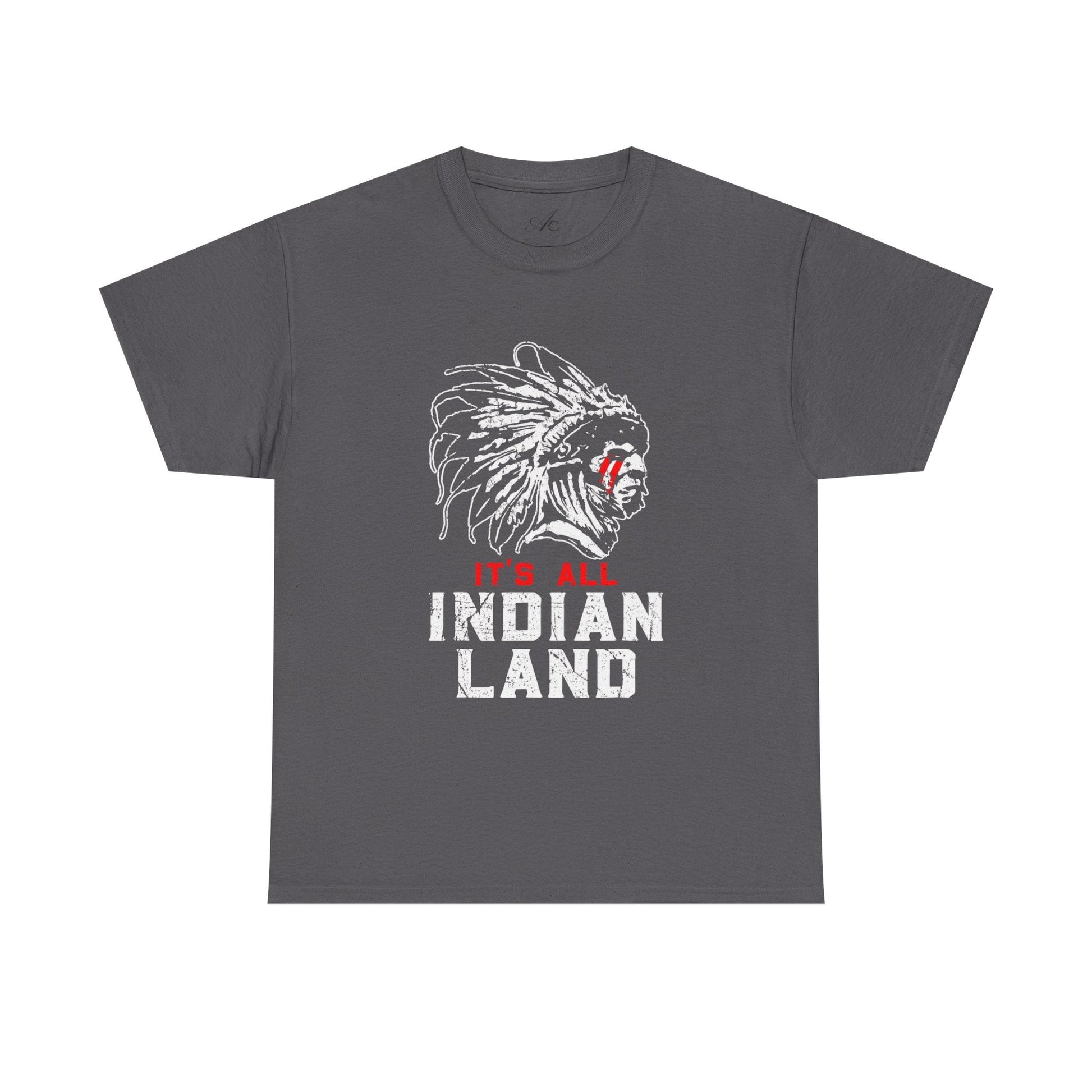 Say It Without Saying It Indigenous Pride Tee, Unisex Heavy Cotton Top, Statement Shirt, Native American Heritage, Gift for Activists, Cultural Appreciation Shirt - Metamorphosis Creations