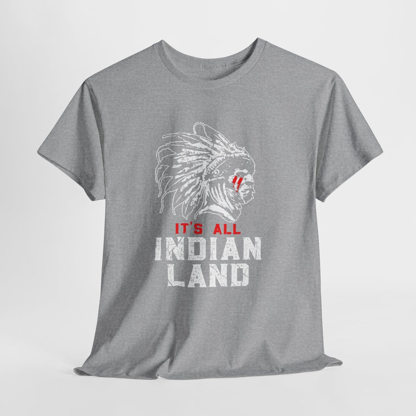 Say It Without Saying It Indigenous Pride Tee, Unisex Heavy Cotton Top, Statement Shirt, Native American Heritage, Gift for Activists, Cultural Appreciation Shirt - Metamorphosis Creations