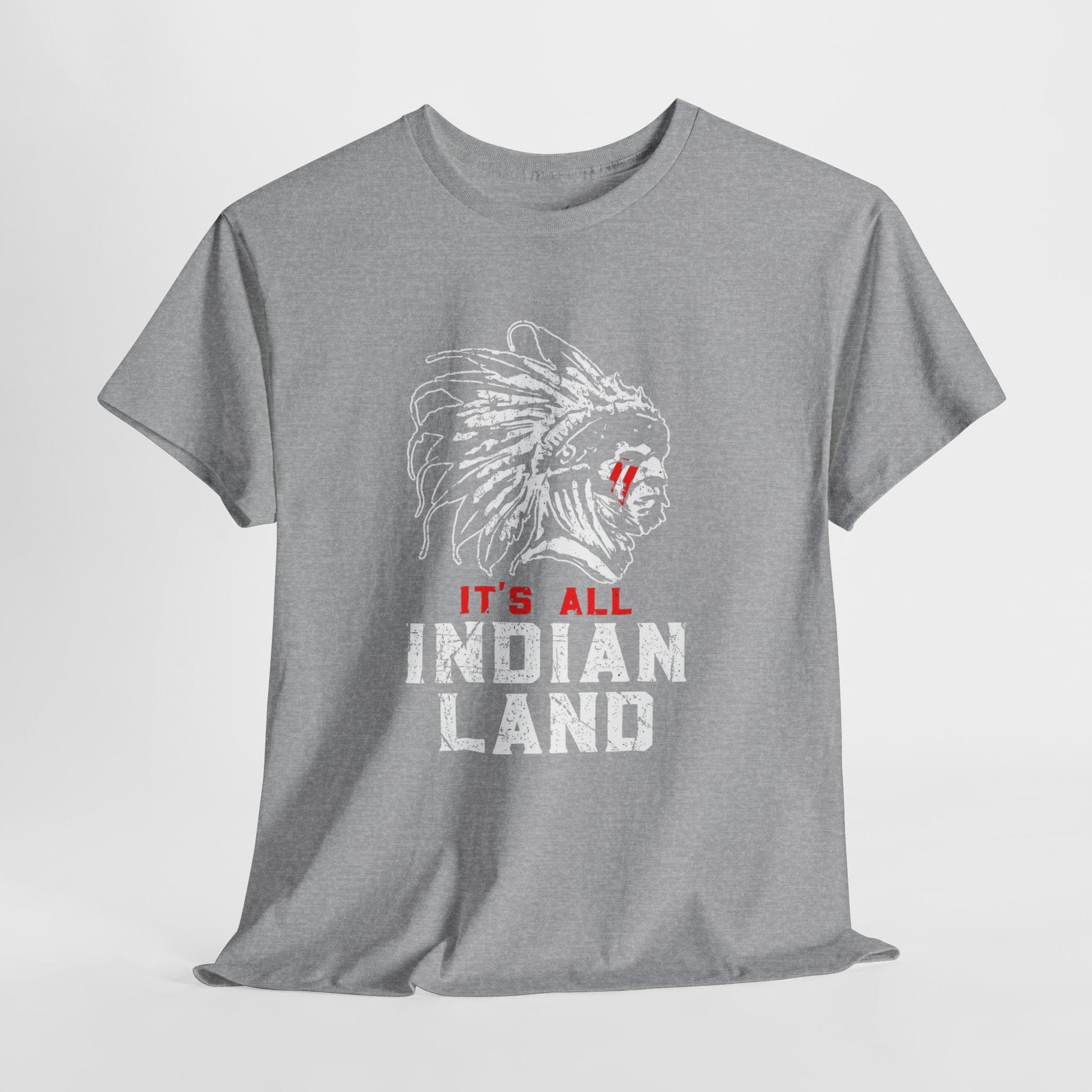 Say It Without Saying It Indigenous Pride Tee, Unisex Heavy Cotton Top, Statement Shirt, Native American Heritage, Gift for Activists, Cultural Appreciation Shirt - Metamorphosis Creations