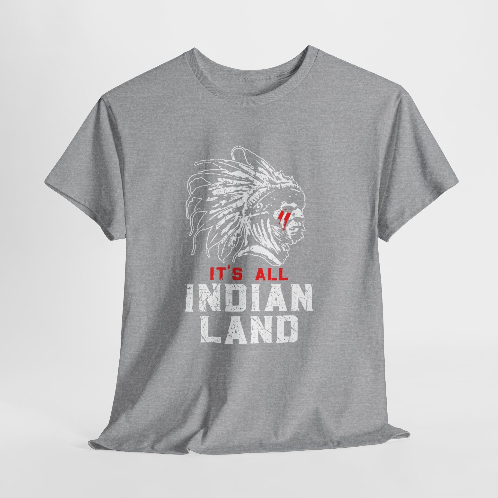 Say It Without Saying It Indigenous Pride Tee, Unisex Heavy Cotton Top, Statement Shirt, Native American Heritage, Gift for Activists, Cultural Appreciation Shirt - Metamorphosis Creations