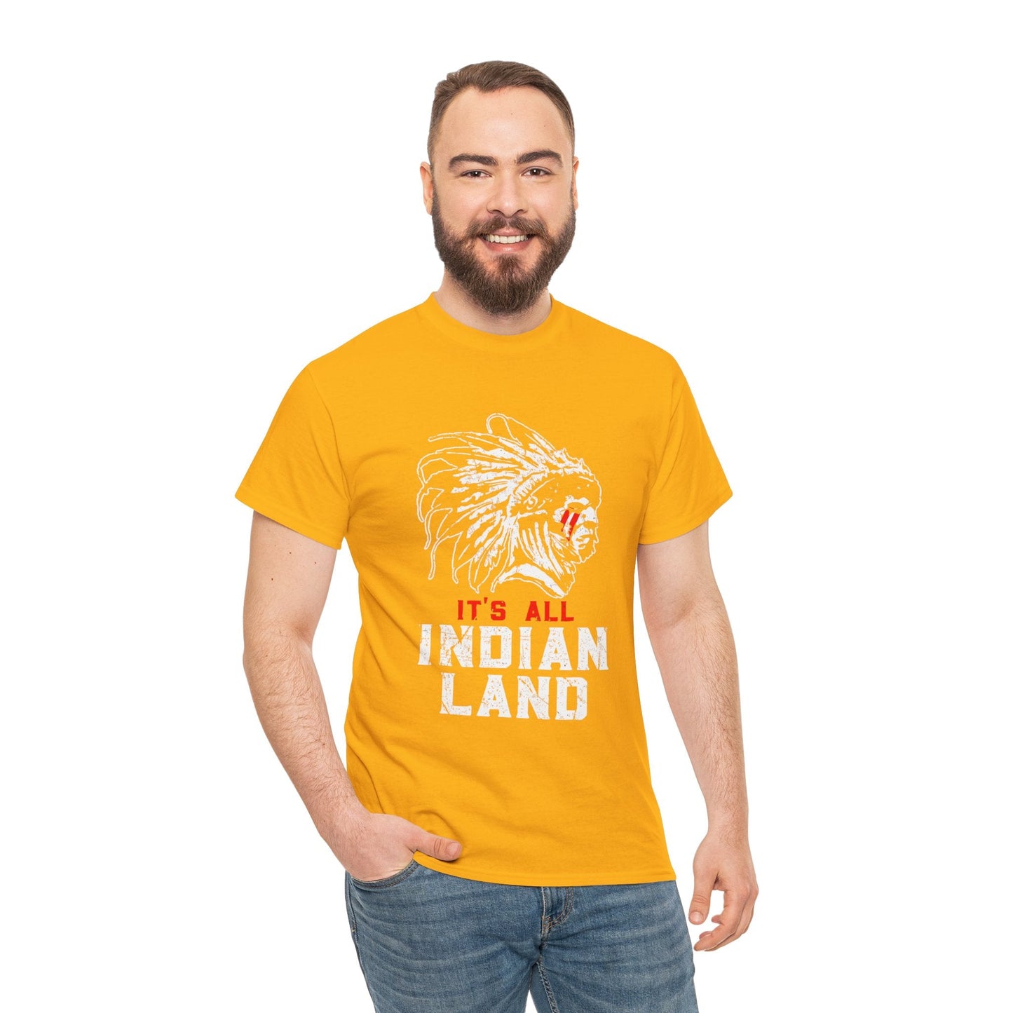 Say It Without Saying It Indigenous Pride Tee, Unisex Heavy Cotton Top, Statement Shirt, Native American Heritage, Gift for Activists, Cultural Appreciation Shirt - Metamorphosis Creations