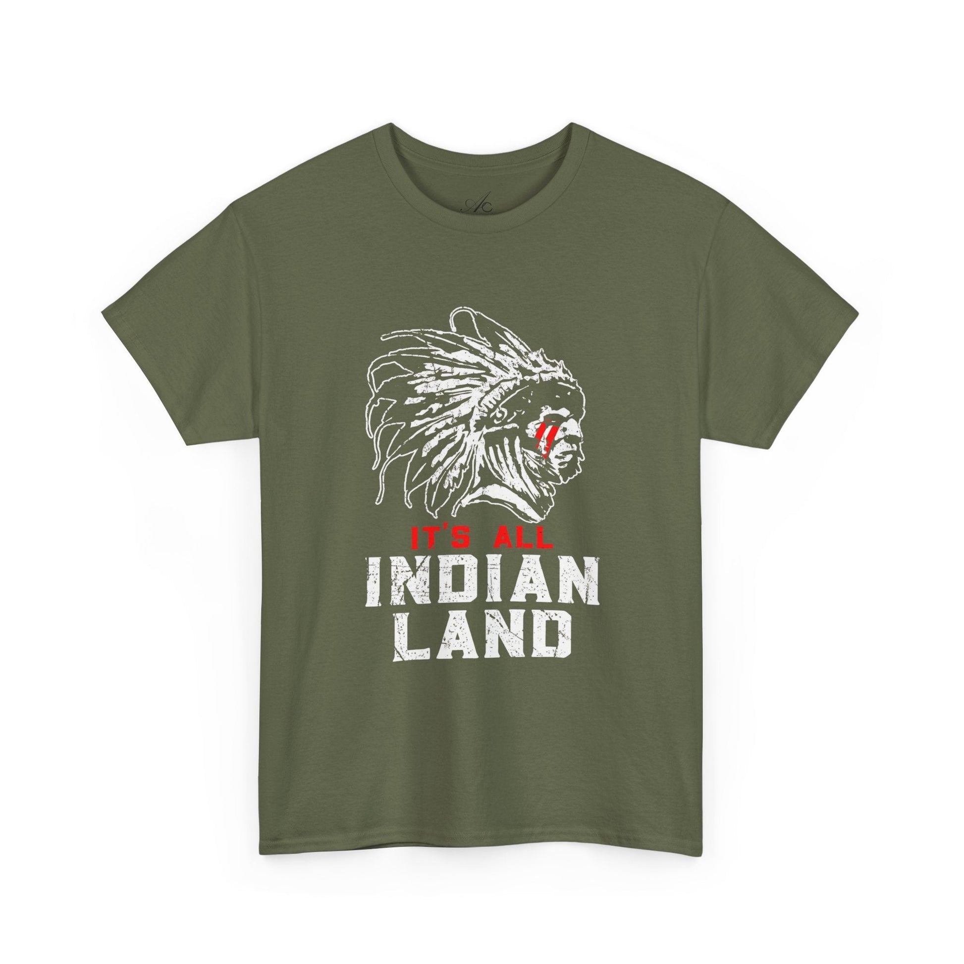 Say It Without Saying It Indigenous Pride Tee, Unisex Heavy Cotton Top, Statement Shirt, Native American Heritage, Gift for Activists, Cultural Appreciation Shirt - Metamorphosis Creations