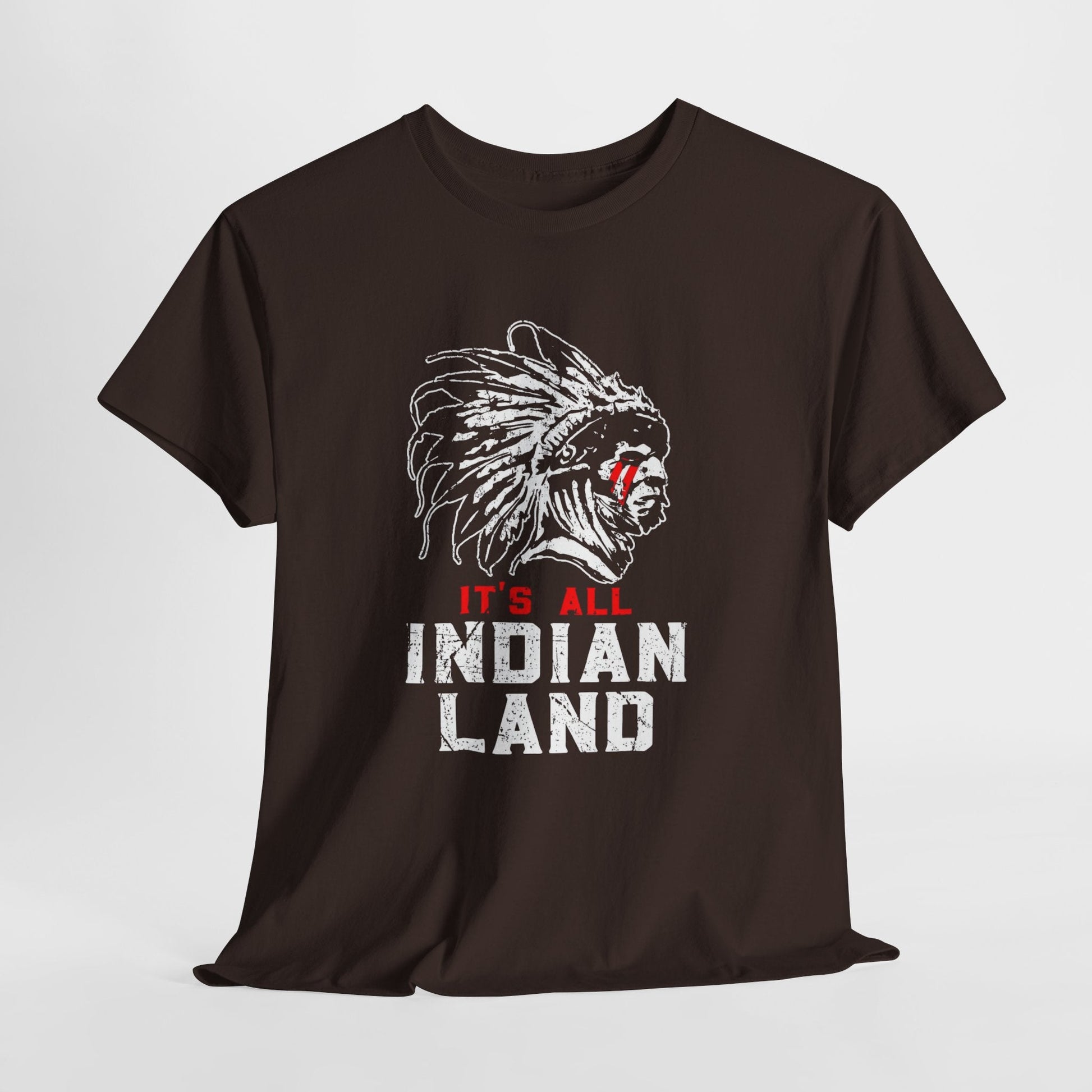 Say It Without Saying It Indigenous Pride Tee, Unisex Heavy Cotton Top, Statement Shirt, Native American Heritage, Gift for Activists, Cultural Appreciation Shirt - Metamorphosis Creations