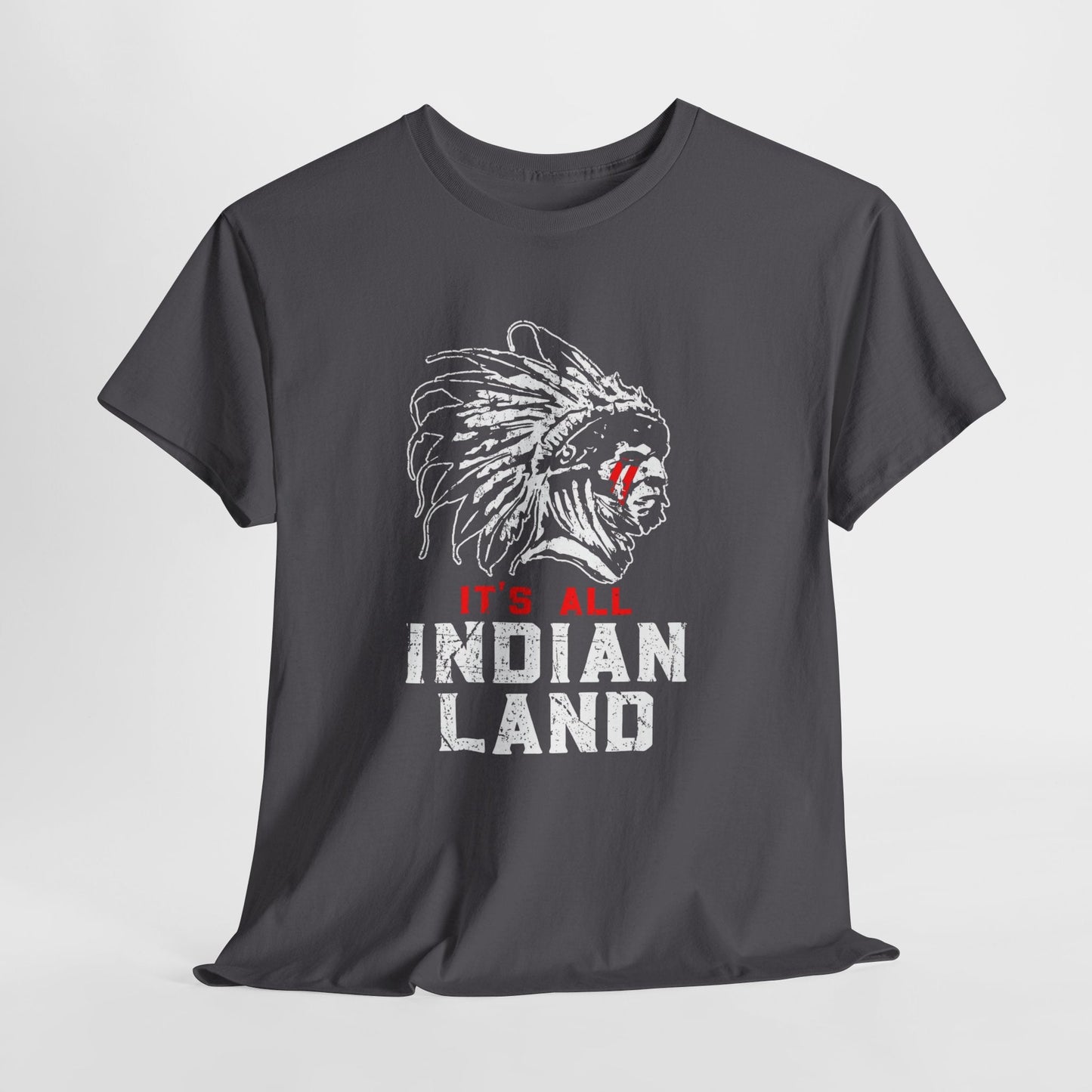 Say It Without Saying It Indigenous Pride Tee, Unisex Heavy Cotton Top, Statement Shirt, Native American Heritage, Gift for Activists, Cultural Appreciation Shirt - Metamorphosis Creations