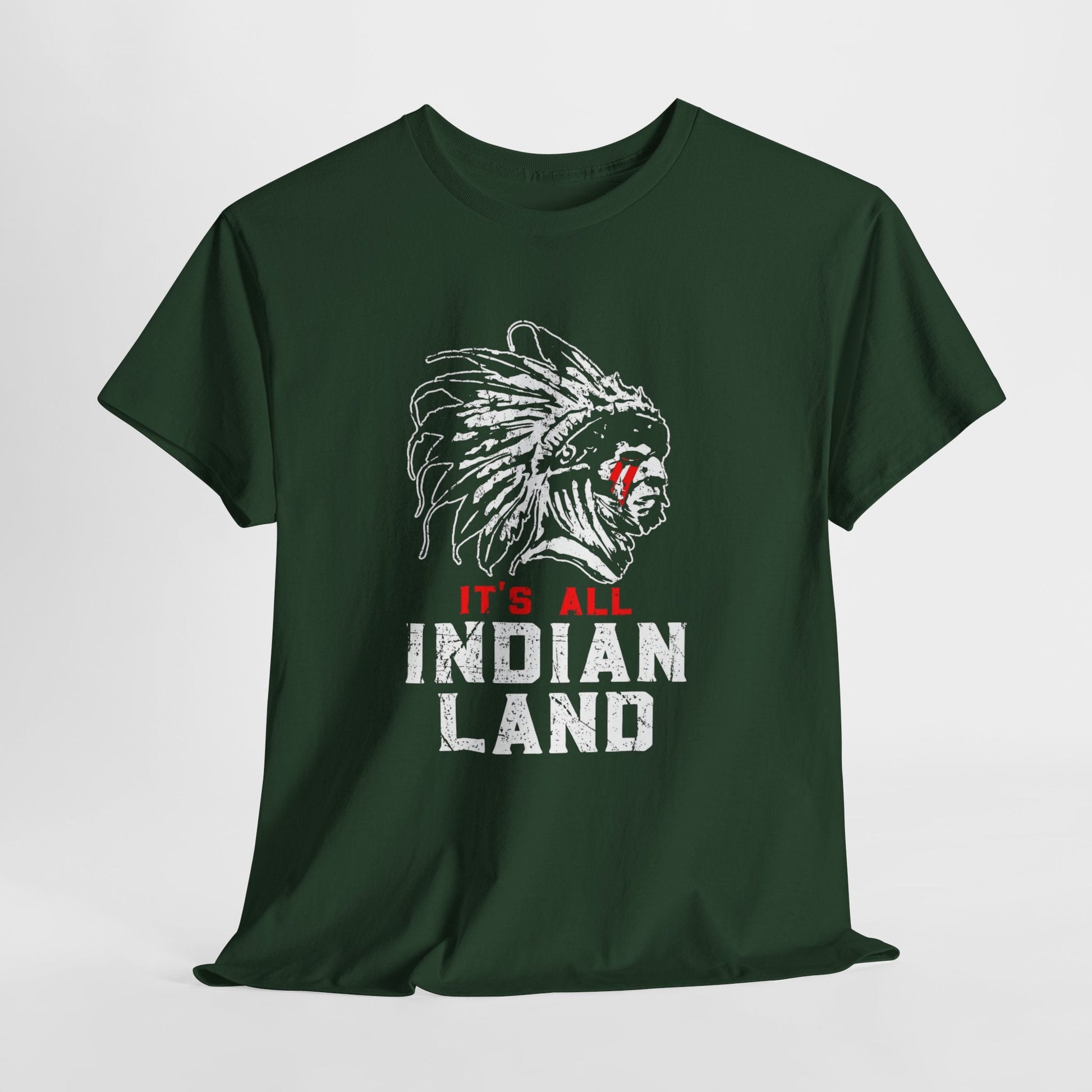 Say It Without Saying It Indigenous Pride Tee, Unisex Heavy Cotton Top, Statement Shirt, Native American Heritage, Gift for Activists, Cultural Appreciation Shirt - Metamorphosis Creations