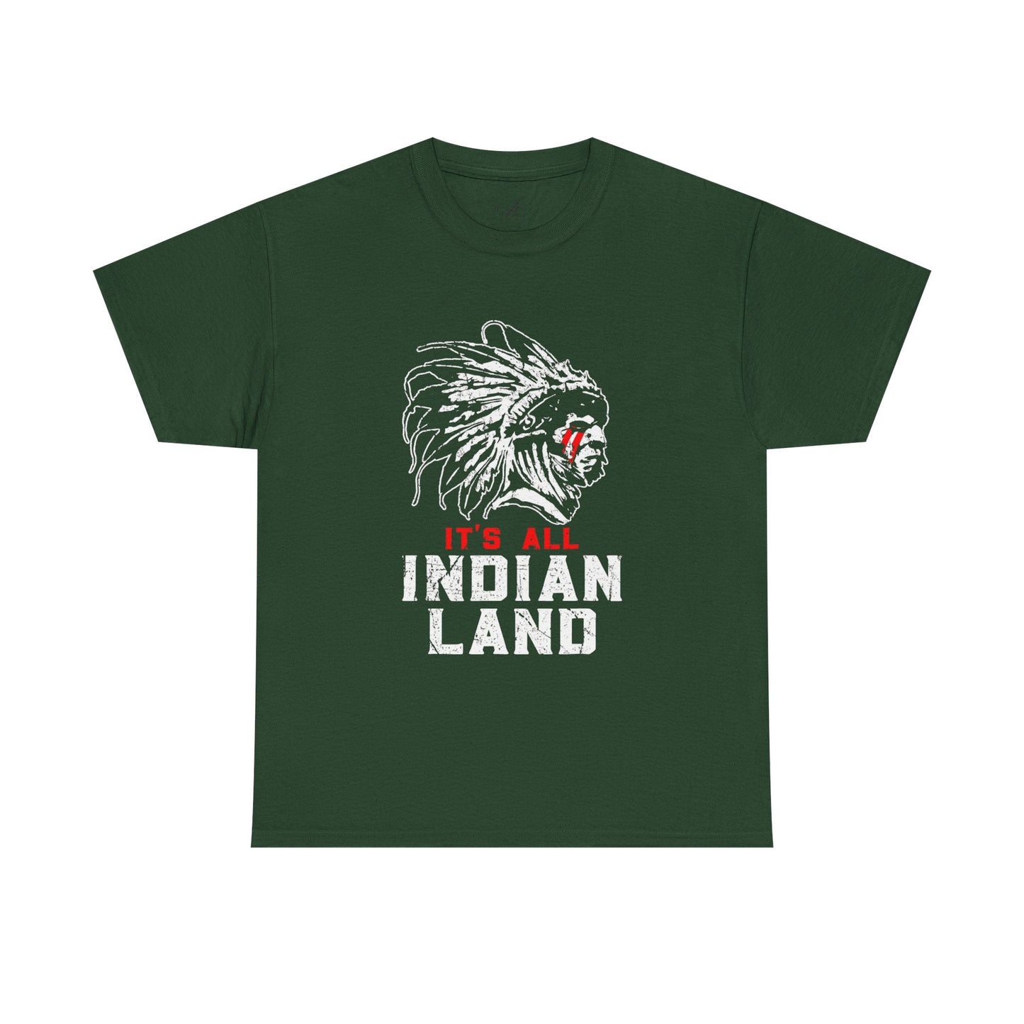 Say It Without Saying It Indigenous Pride Tee, Unisex Heavy Cotton Top, Statement Shirt, Native American Heritage, Gift for Activists, Cultural Appreciation Shirt - Metamorphosis Creations