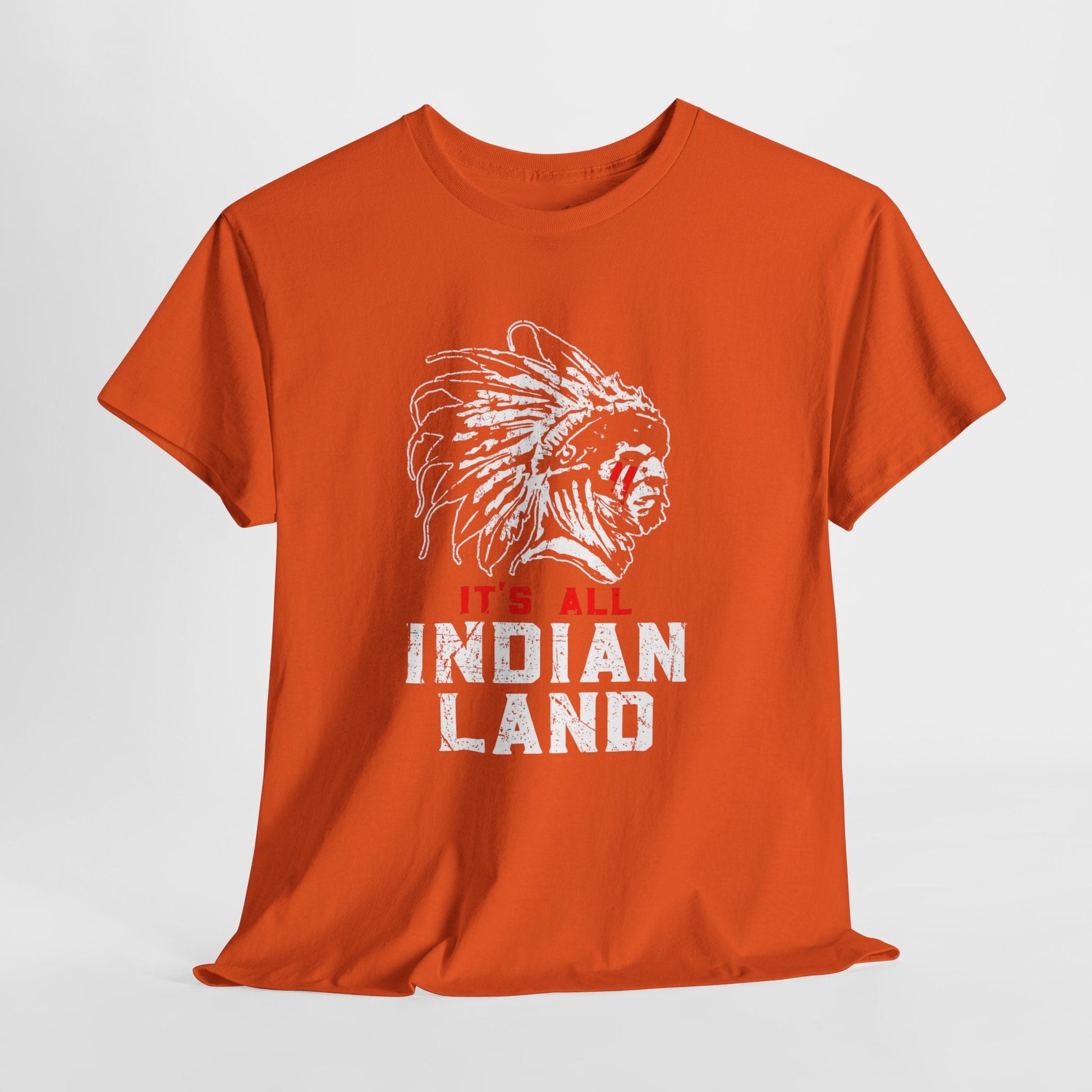 Say It Without Saying It Indigenous Pride Tee, Unisex Heavy Cotton Top, Statement Shirt, Native American Heritage, Gift for Activists, Cultural Appreciation Shirt - Metamorphosis Creations