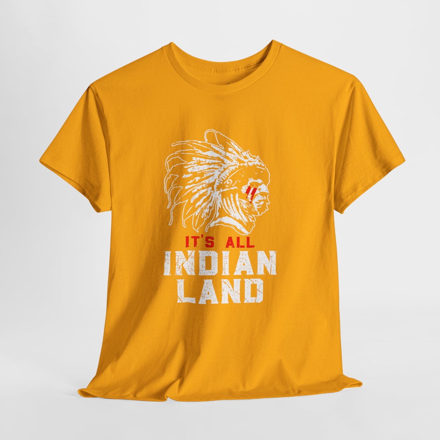 Say It Without Saying It Indigenous Pride Tee, Unisex Heavy Cotton Top, Statement Shirt, Native American Heritage, Gift for Activists, Cultural Appreciation Shirt - Metamorphosis Creations