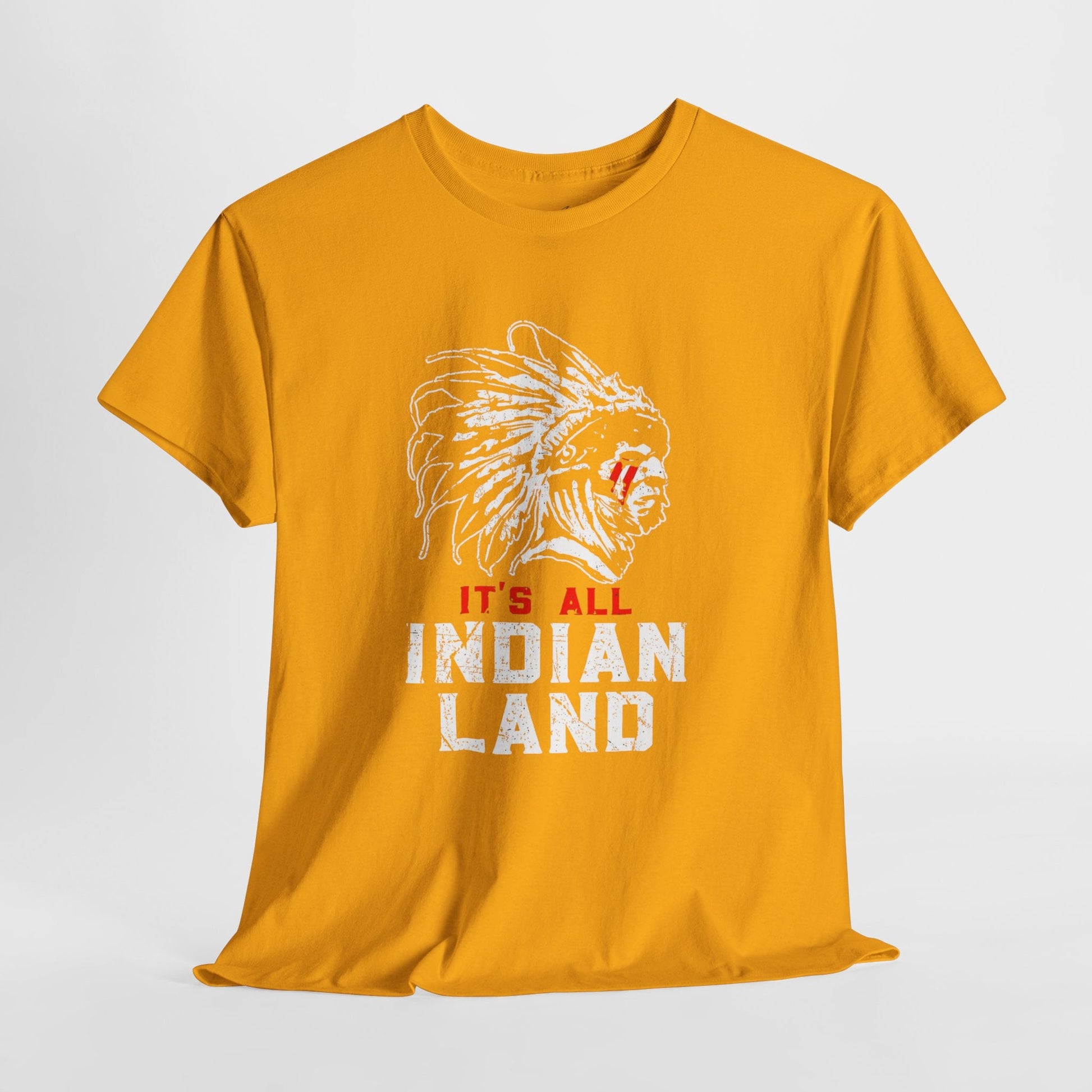 Say It Without Saying It Indigenous Pride Tee, Unisex Heavy Cotton Top, Statement Shirt, Native American Heritage, Gift for Activists, Cultural Appreciation Shirt - Metamorphosis Creations