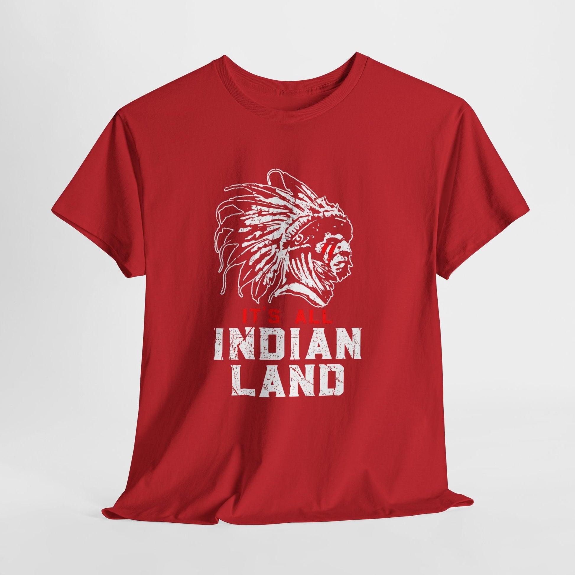 Say It Without Saying It Indigenous Pride Tee, Unisex Heavy Cotton Top, Statement Shirt, Native American Heritage, Gift for Activists, Cultural Appreciation Shirt - Metamorphosis Creations