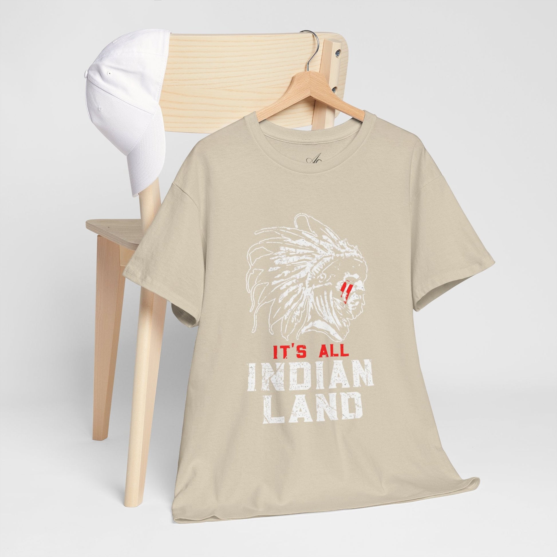 Say It Without Saying It Indigenous Pride Tee, Unisex Heavy Cotton Top, Statement Shirt, Native American Heritage, Gift for Activists, Cultural Appreciation Shirt - Metamorphosis Creations