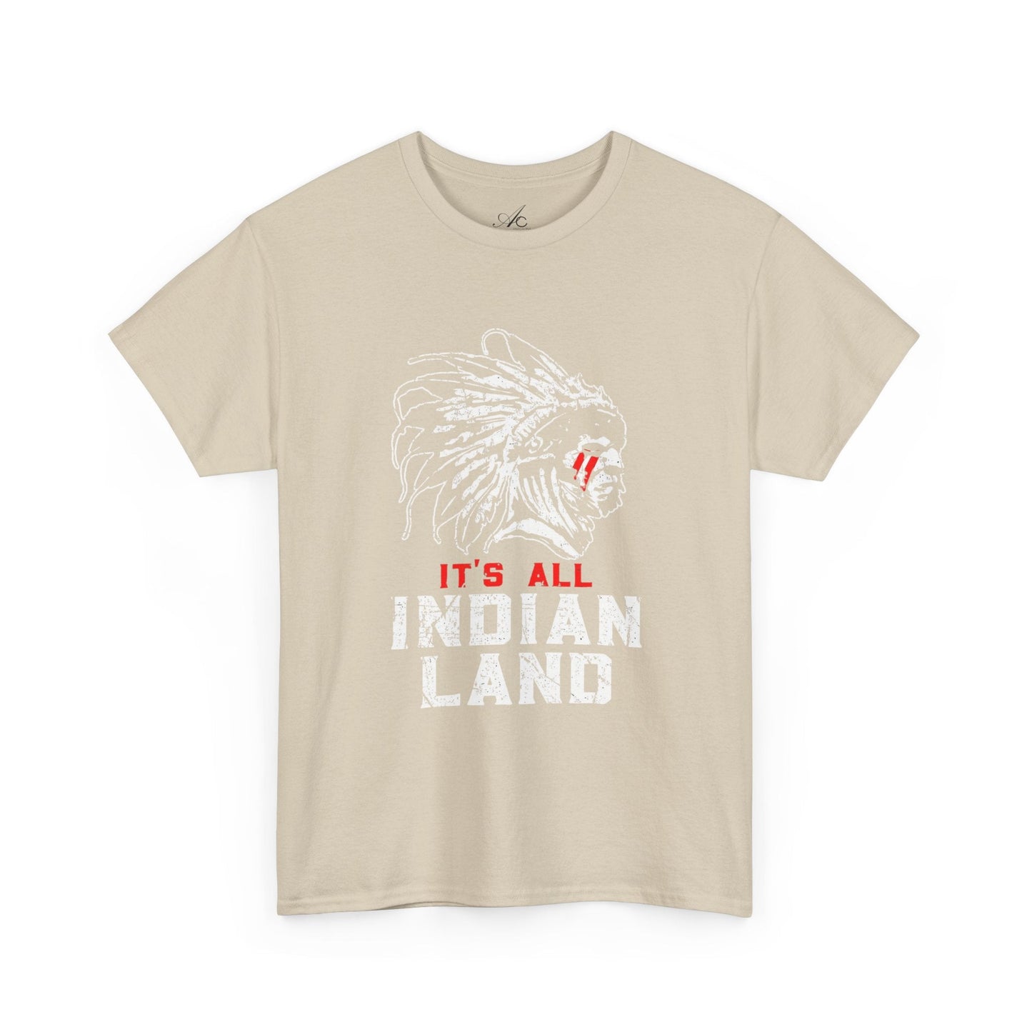 Say It Without Saying It Indigenous Pride Tee, Unisex Heavy Cotton Top, Statement Shirt, Native American Heritage, Gift for Activists, Cultural Appreciation Shirt - Metamorphosis Creations