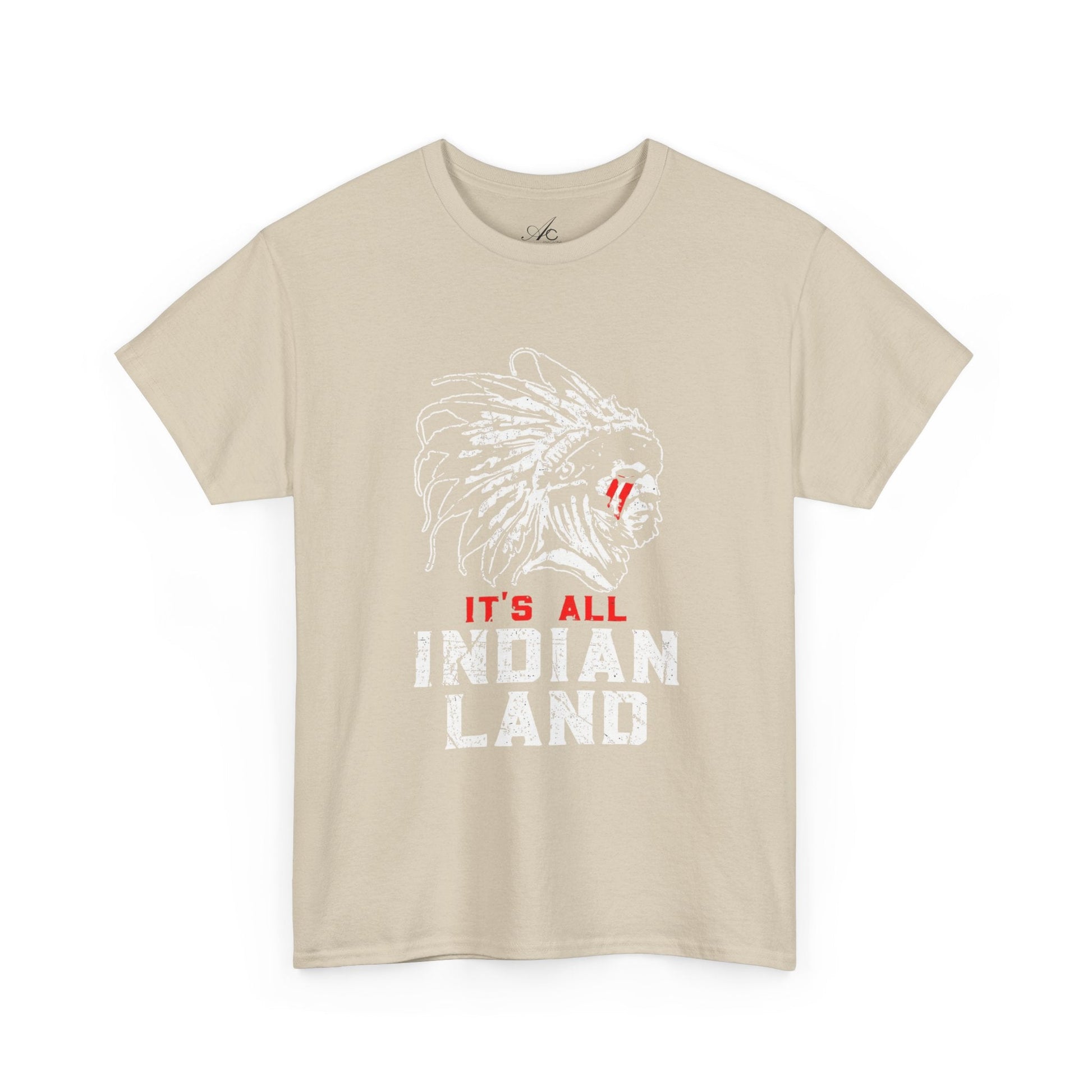 Say It Without Saying It Indigenous Pride Tee, Unisex Heavy Cotton Top, Statement Shirt, Native American Heritage, Gift for Activists, Cultural Appreciation Shirt - Metamorphosis Creations