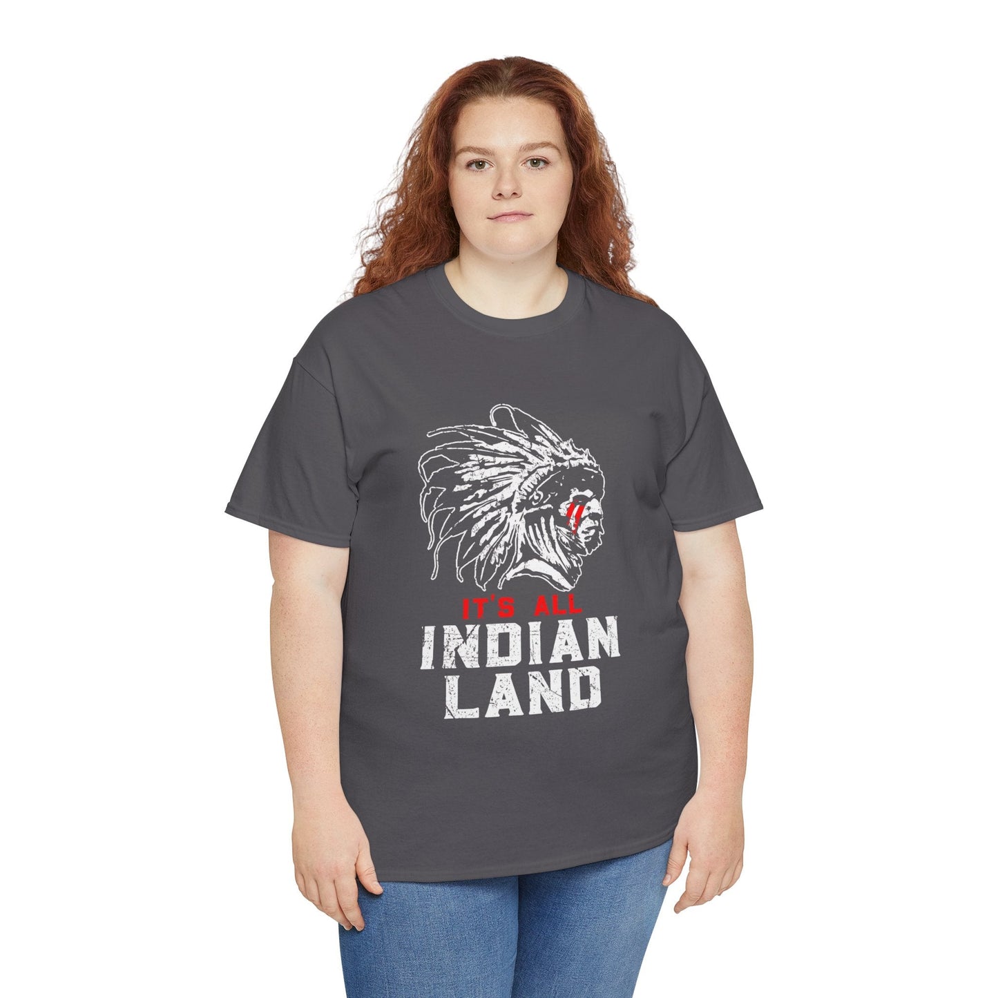 Say It Without Saying It Indigenous Pride Tee, Unisex Heavy Cotton Top, Statement Shirt, Native American Heritage, Gift for Activists, Cultural Appreciation Shirt - Metamorphosis Creations