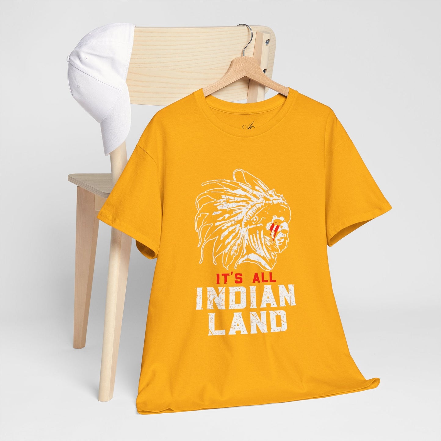 Say It Without Saying It Indigenous Pride Tee, Unisex Heavy Cotton Top, Statement Shirt, Native American Heritage, Gift for Activists, Cultural Appreciation Shirt - Metamorphosis Creations