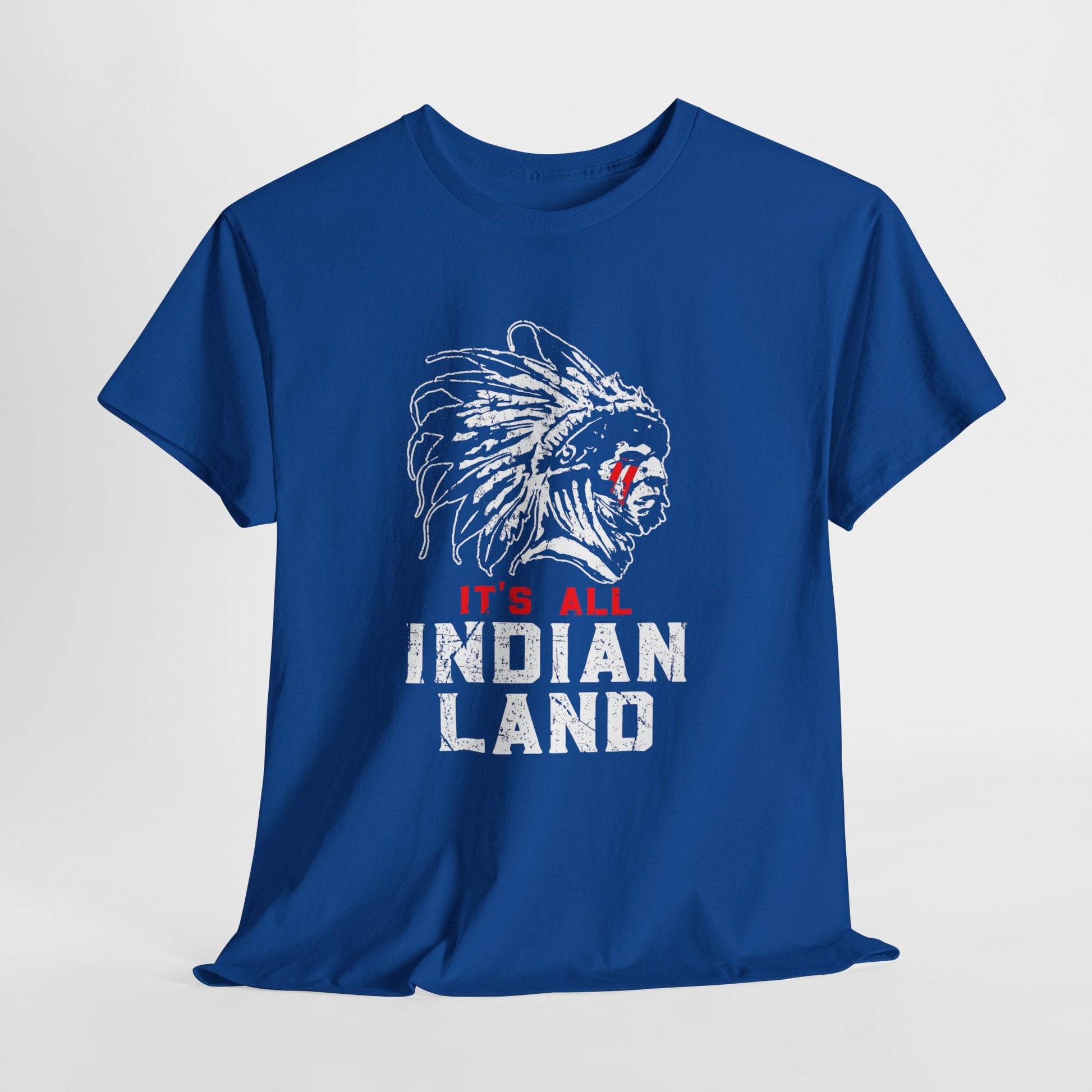Say It Without Saying It Indigenous Pride Tee, Unisex Heavy Cotton Top, Statement Shirt, Native American Heritage, Gift for Activists, Cultural Appreciation Shirt - Metamorphosis Creations