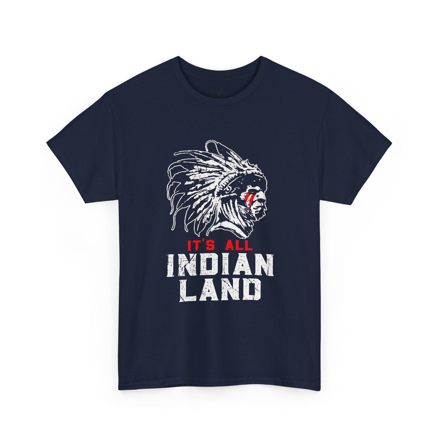 Say It Without Saying It Indigenous Pride Tee, Unisex Heavy Cotton Top, Statement Shirt, Native American Heritage, Gift for Activists, Cultural Appreciation Shirt - Metamorphosis Creations