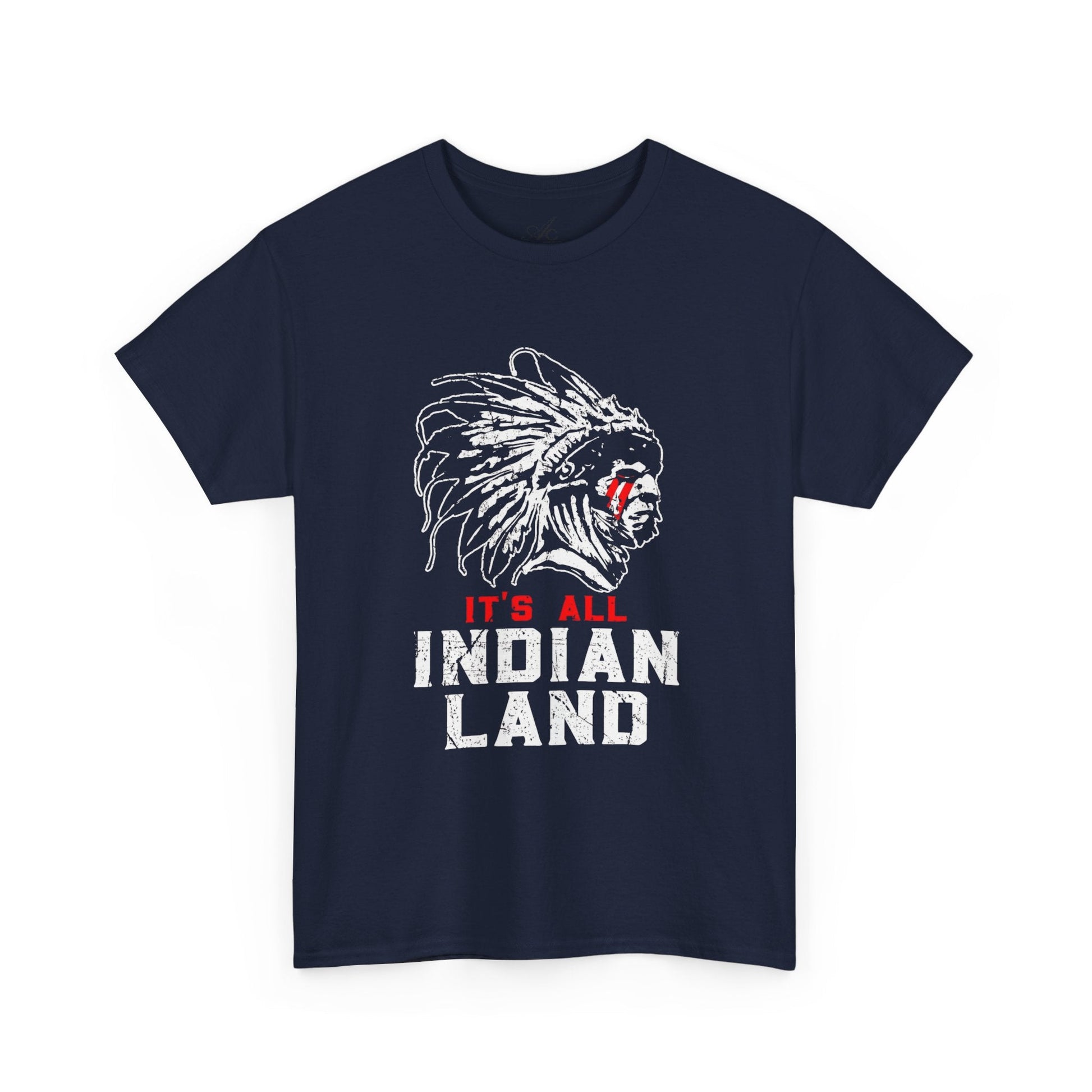 Say It Without Saying It Indigenous Pride Tee, Unisex Heavy Cotton Top, Statement Shirt, Native American Heritage, Gift for Activists, Cultural Appreciation Shirt - Metamorphosis Creations