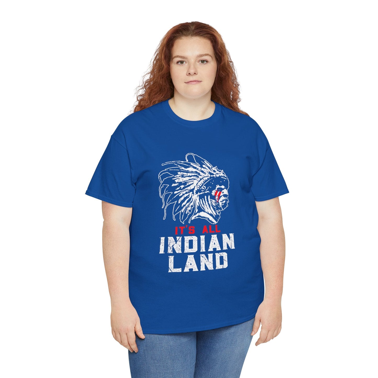 Say It Without Saying It Indigenous Pride Tee, Unisex Heavy Cotton Top, Statement Shirt, Native American Heritage, Gift for Activists, Cultural Appreciation Shirt - Metamorphosis Creations