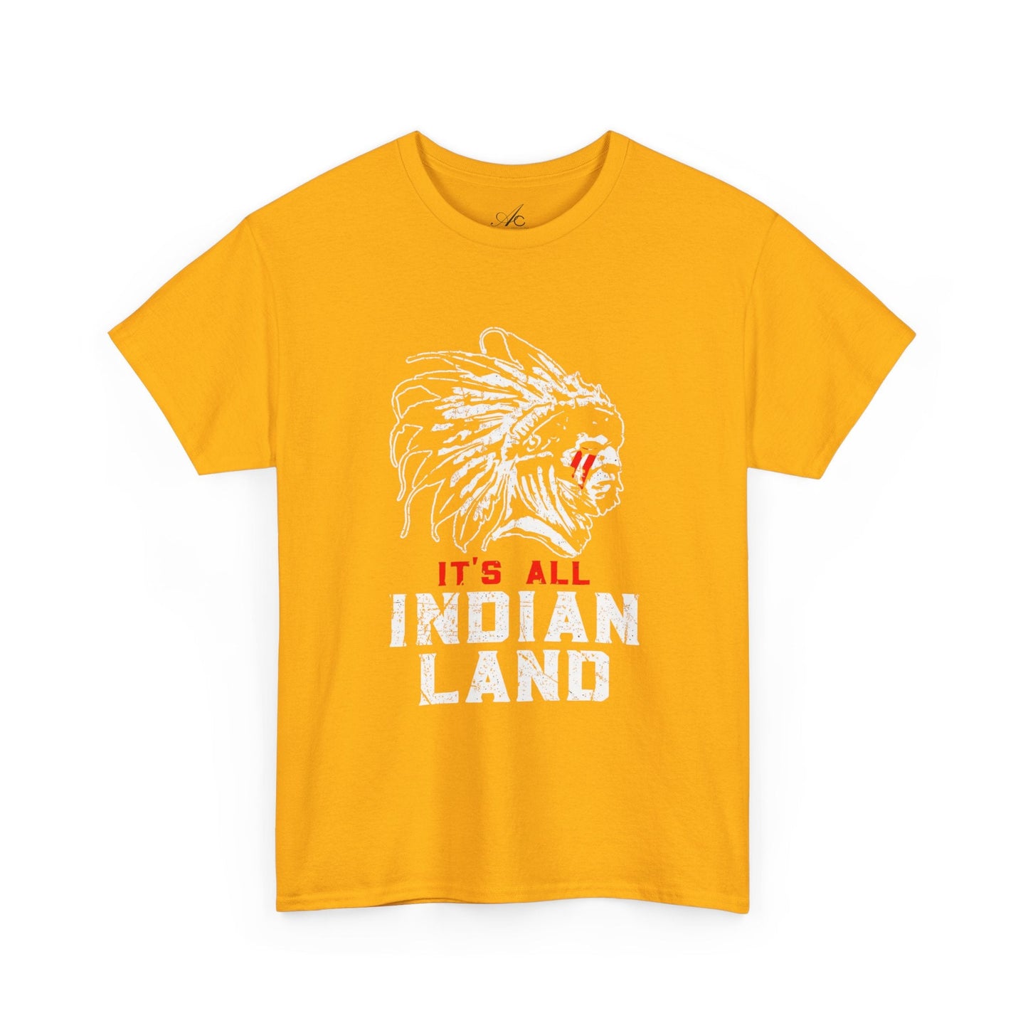 Say It Without Saying It Indigenous Pride Tee, Unisex Heavy Cotton Top, Statement Shirt, Native American Heritage, Gift for Activists, Cultural Appreciation Shirt - Metamorphosis Creations