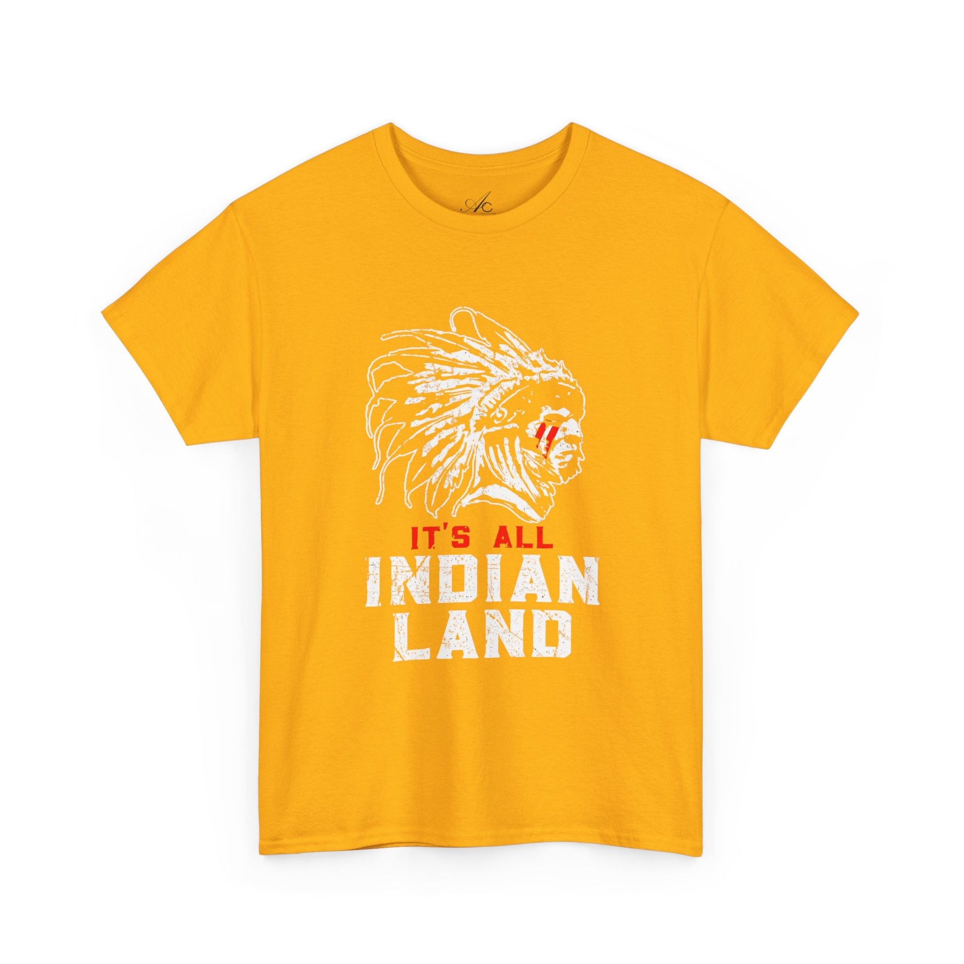 Say It Without Saying It Indigenous Pride Tee, Unisex Heavy Cotton Top, Statement Shirt, Native American Heritage, Gift for Activists, Cultural Appreciation Shirt - Metamorphosis Creations
