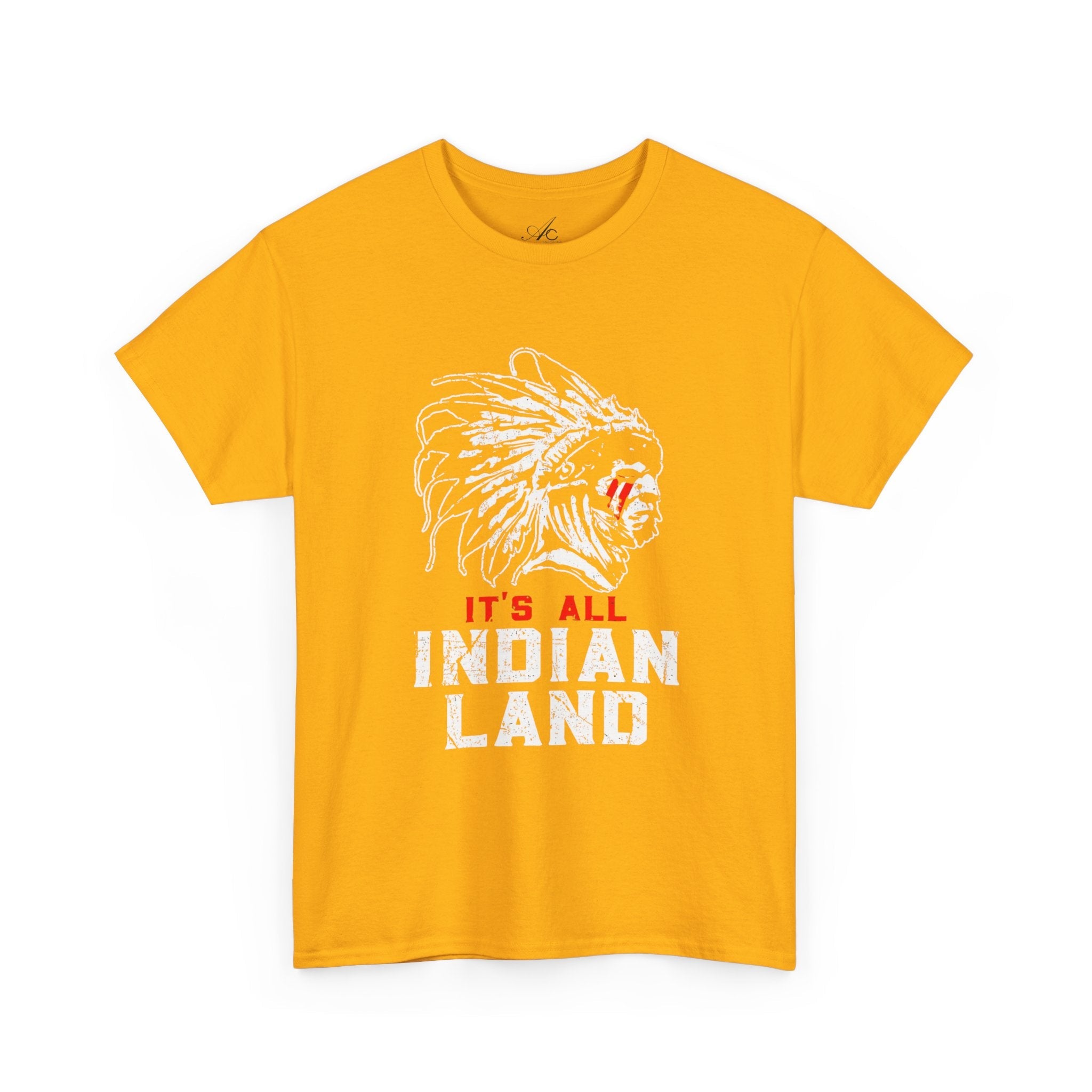 Say It Without Saying It Indigenous Pride Tee, Unisex Heavy Cotton Top, Statement Shirt, Native American Heritage, Gift for Activists, Cultural Appreciation Shirt - Metamorphosis Creations