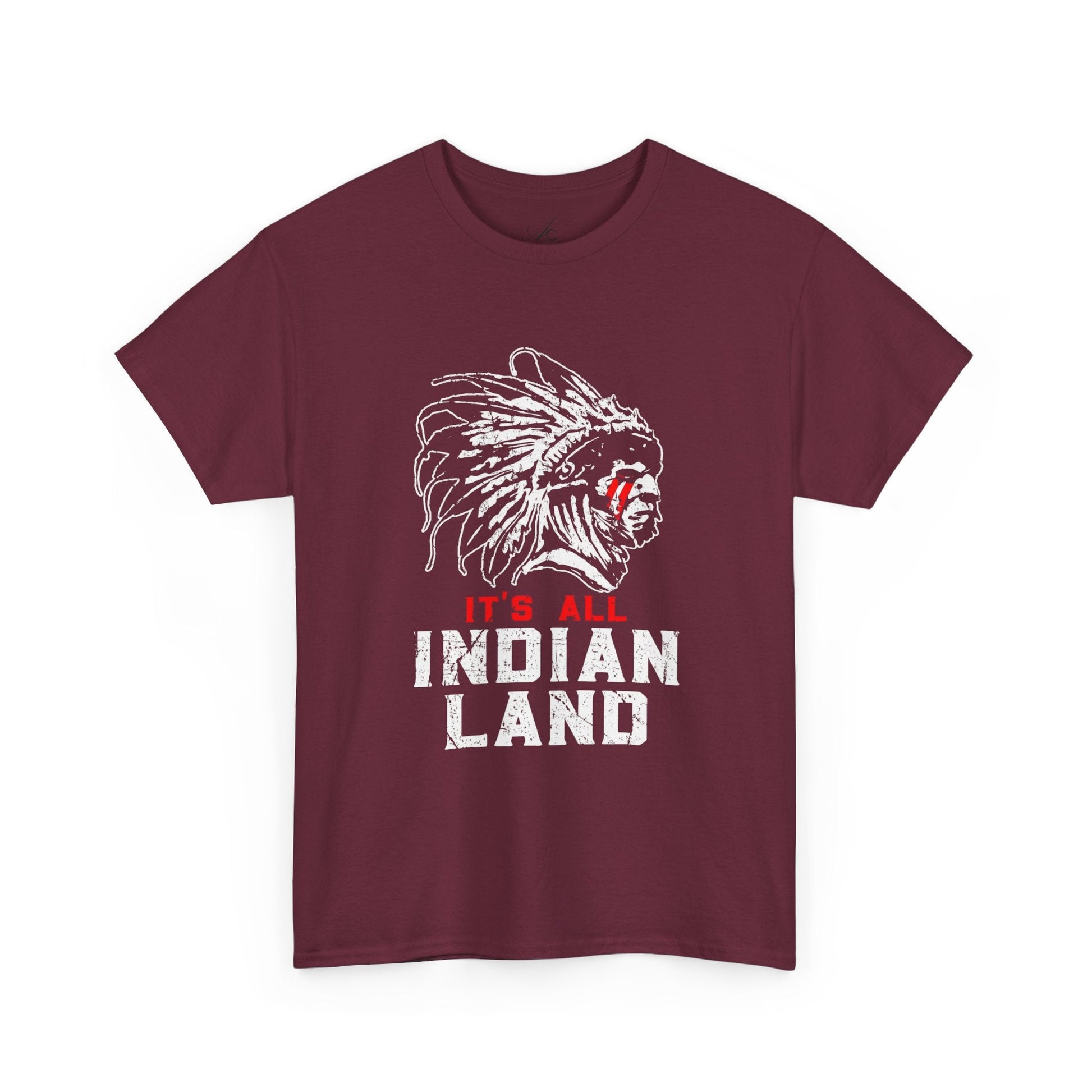 Say It Without Saying It Indigenous Pride Tee, Unisex Heavy Cotton Top, Statement Shirt, Native American Heritage, Gift for Activists, Cultural Appreciation Shirt - Metamorphosis Creations