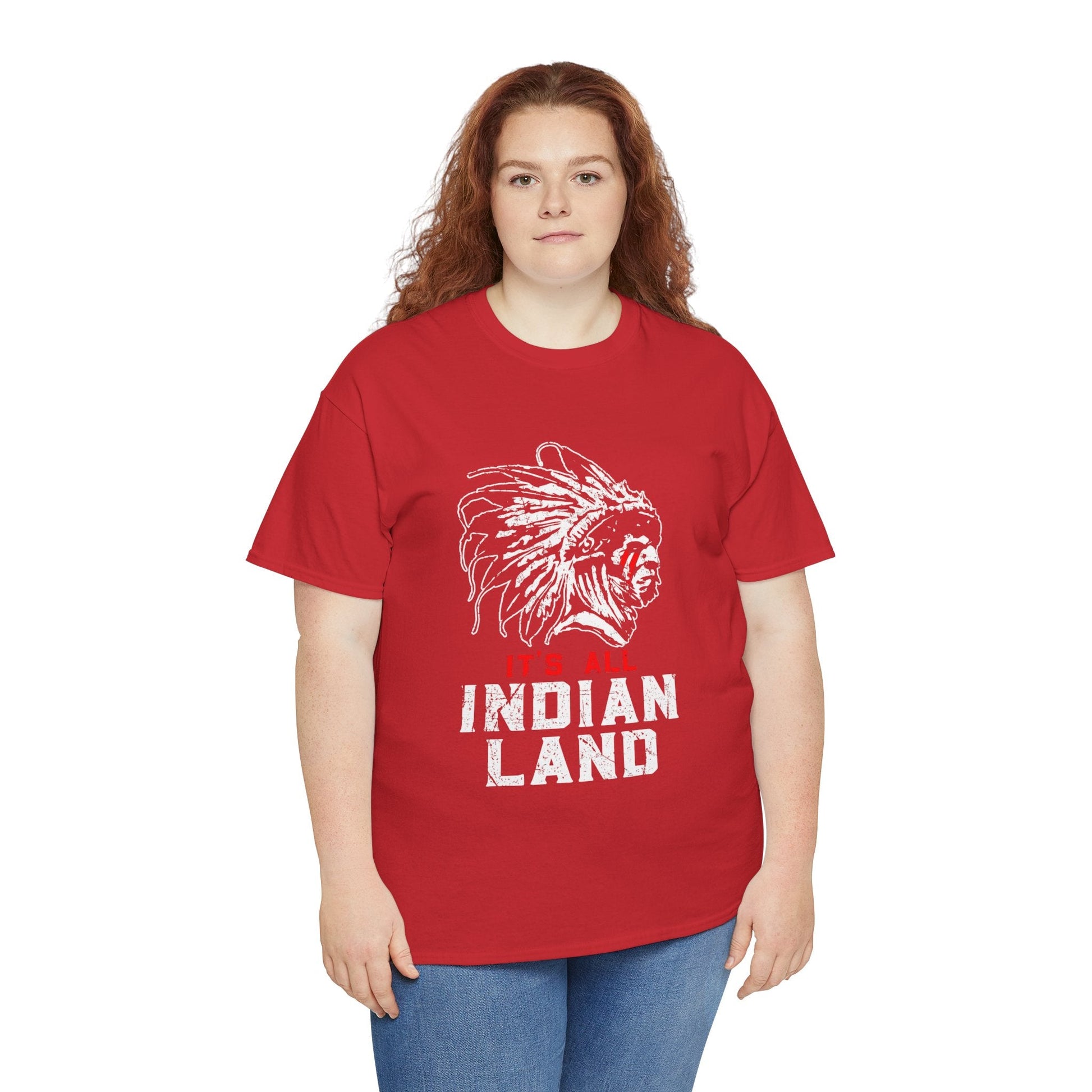 Say It Without Saying It Indigenous Pride Tee, Unisex Heavy Cotton Top, Statement Shirt, Native American Heritage, Gift for Activists, Cultural Appreciation Shirt - Metamorphosis Creations