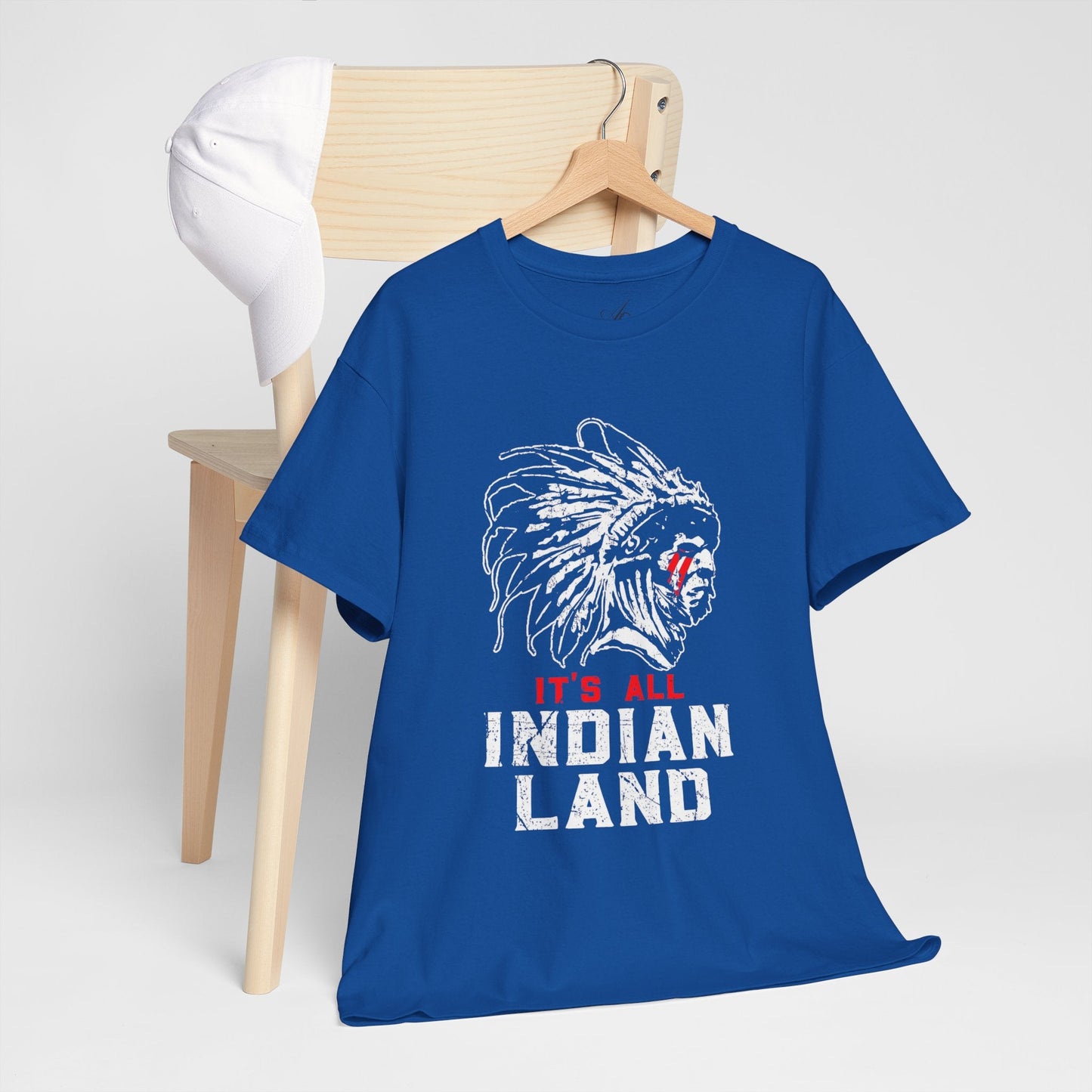 Say It Without Saying It Indigenous Pride Tee, Unisex Heavy Cotton Top, Statement Shirt, Native American Heritage, Gift for Activists, Cultural Appreciation Shirt - Metamorphosis Creations