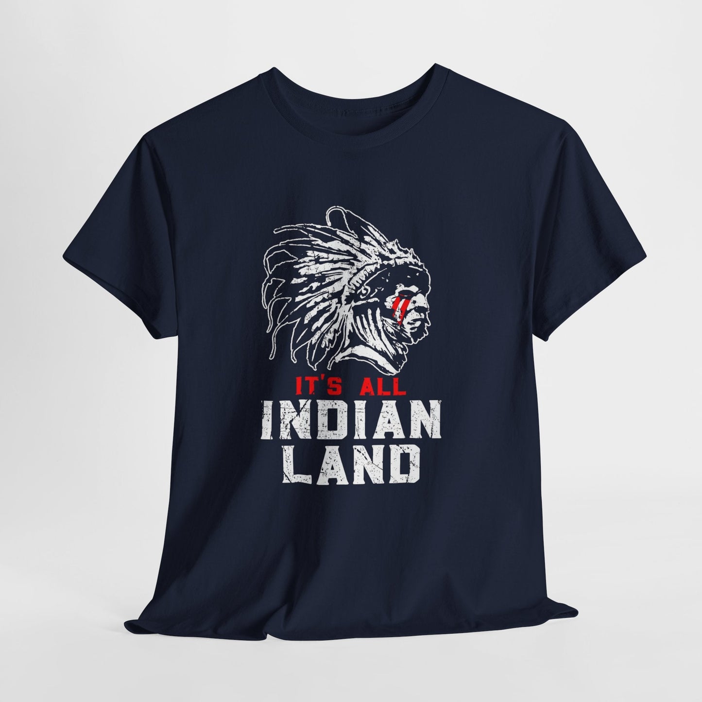 Say It Without Saying It Indigenous Pride Tee, Unisex Heavy Cotton Top, Statement Shirt, Native American Heritage, Gift for Activists, Cultural Appreciation Shirt - Metamorphosis Creations