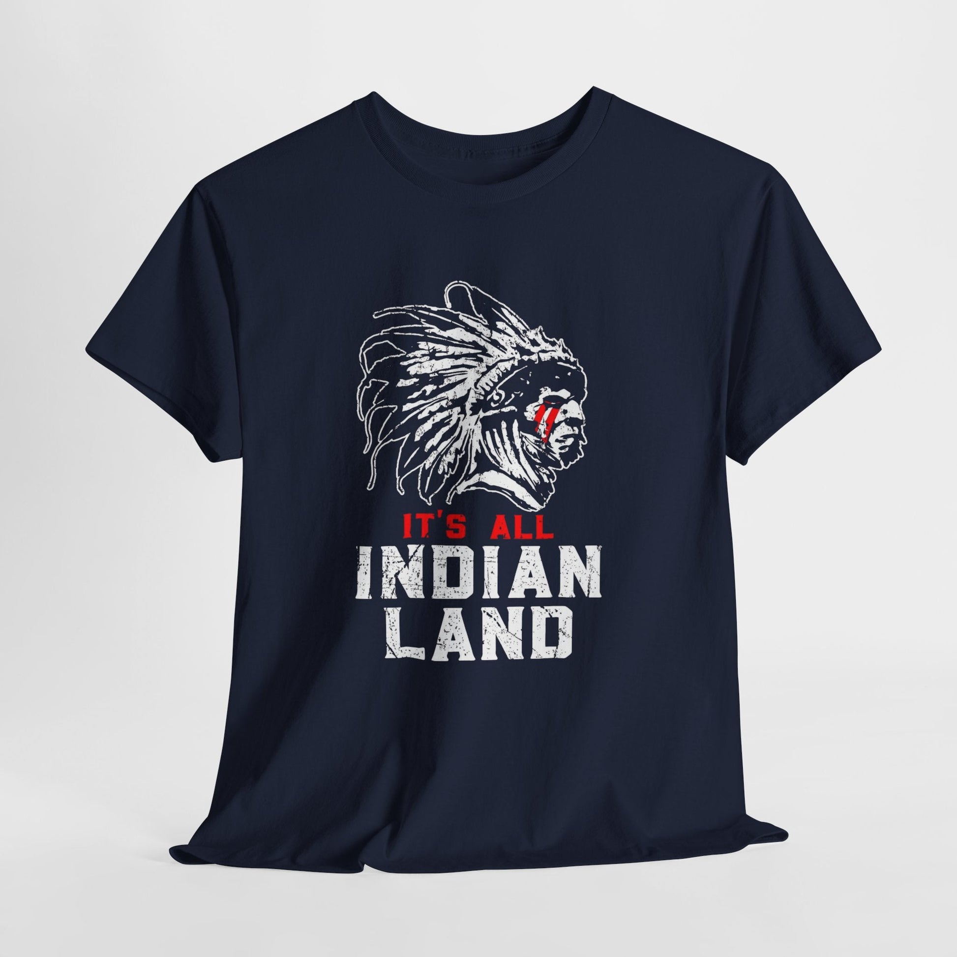 Say It Without Saying It Indigenous Pride Tee, Unisex Heavy Cotton Top, Statement Shirt, Native American Heritage, Gift for Activists, Cultural Appreciation Shirt - Metamorphosis Creations