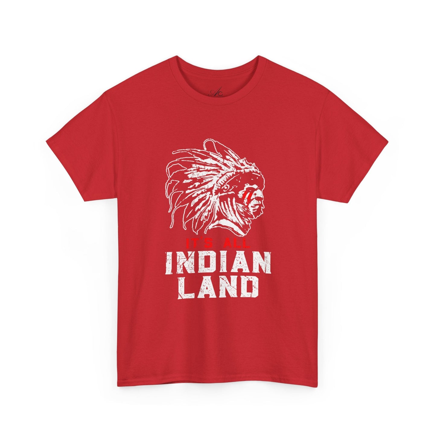 Say It Without Saying It Indigenous Pride Tee, Unisex Heavy Cotton Top, Statement Shirt, Native American Heritage, Gift for Activists, Cultural Appreciation Shirt - Metamorphosis Creations