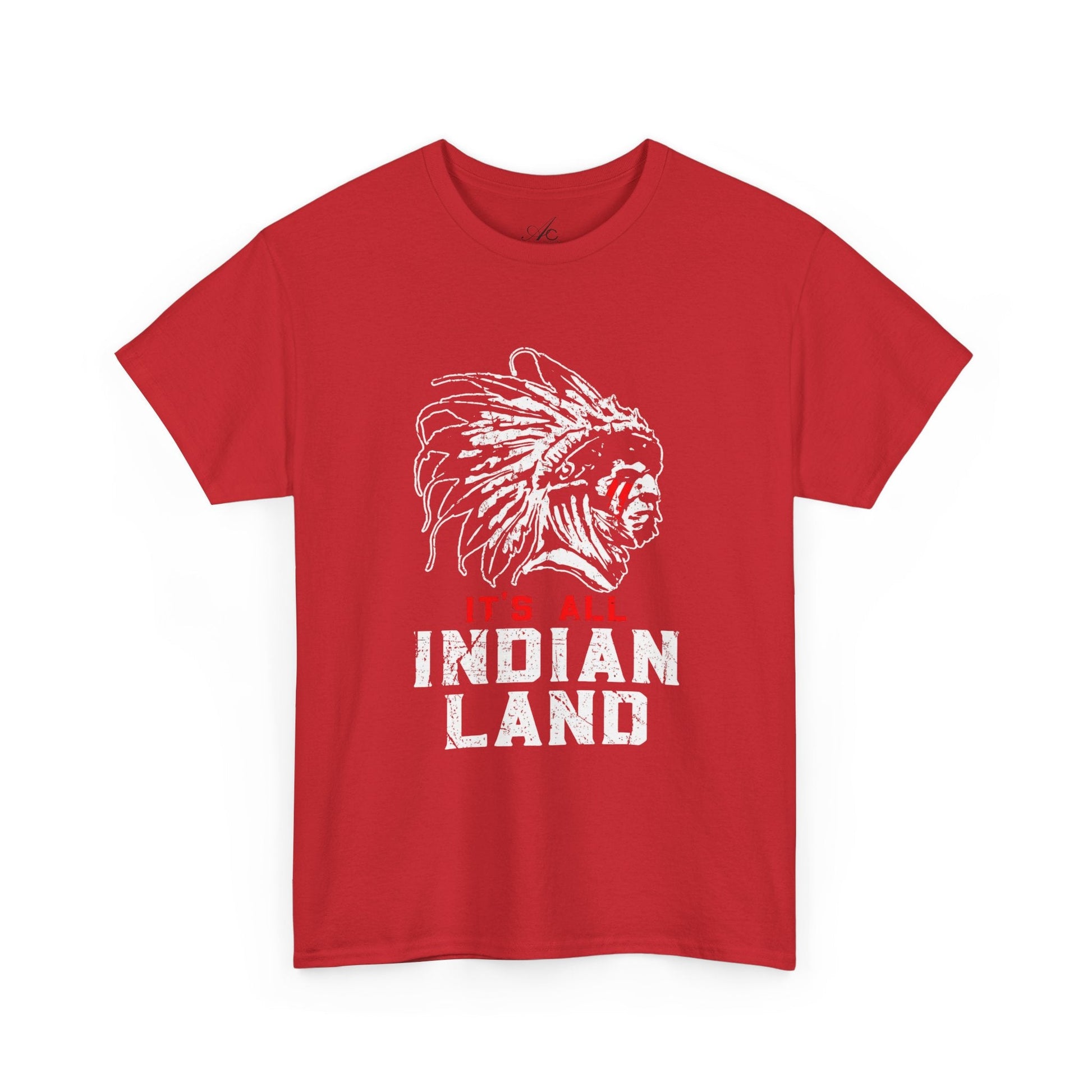 Say It Without Saying It Indigenous Pride Tee, Unisex Heavy Cotton Top, Statement Shirt, Native American Heritage, Gift for Activists, Cultural Appreciation Shirt - Metamorphosis Creations