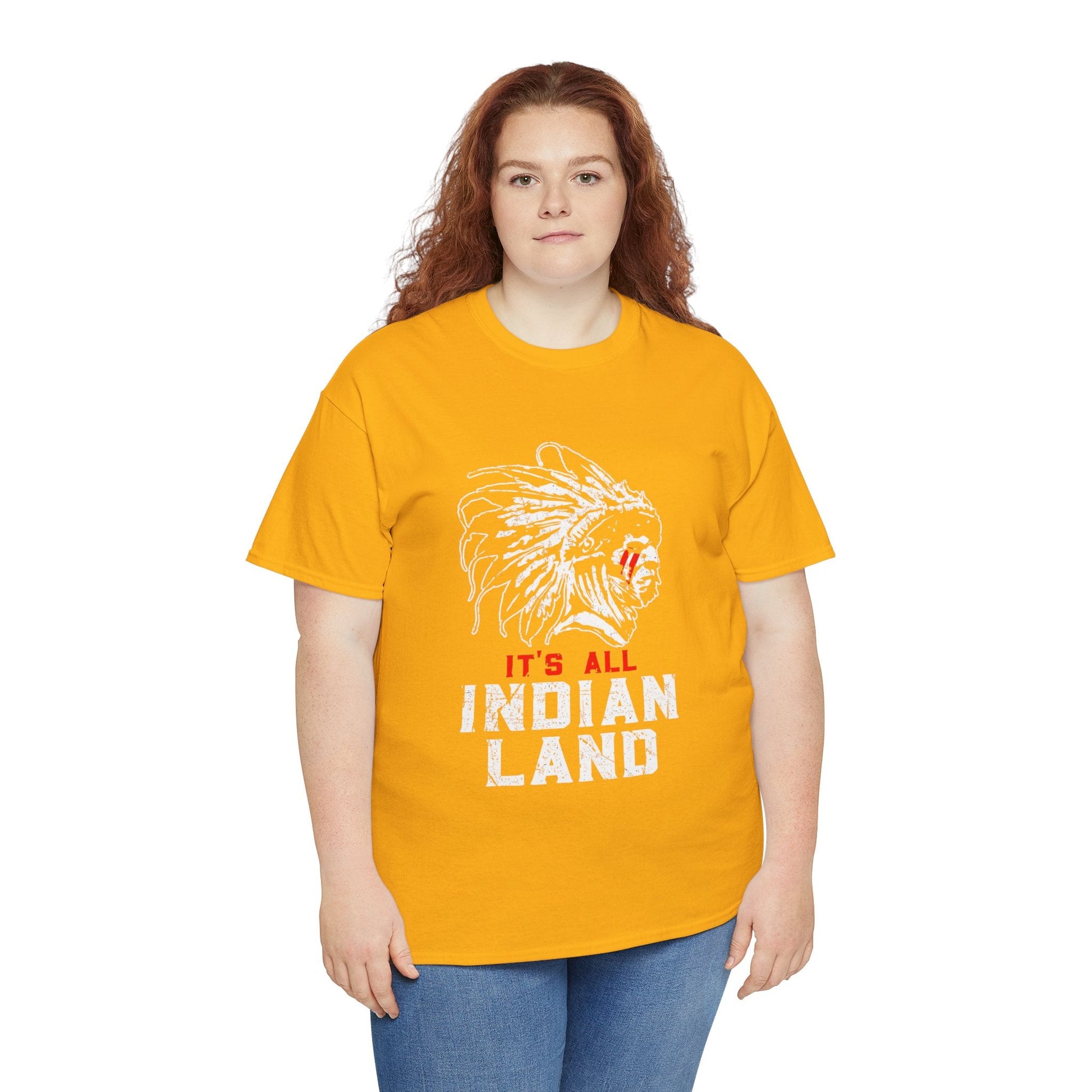 Say It Without Saying It Indigenous Pride Tee, Unisex Heavy Cotton Top, Statement Shirt, Native American Heritage, Gift for Activists, Cultural Appreciation Shirt - Metamorphosis Creations